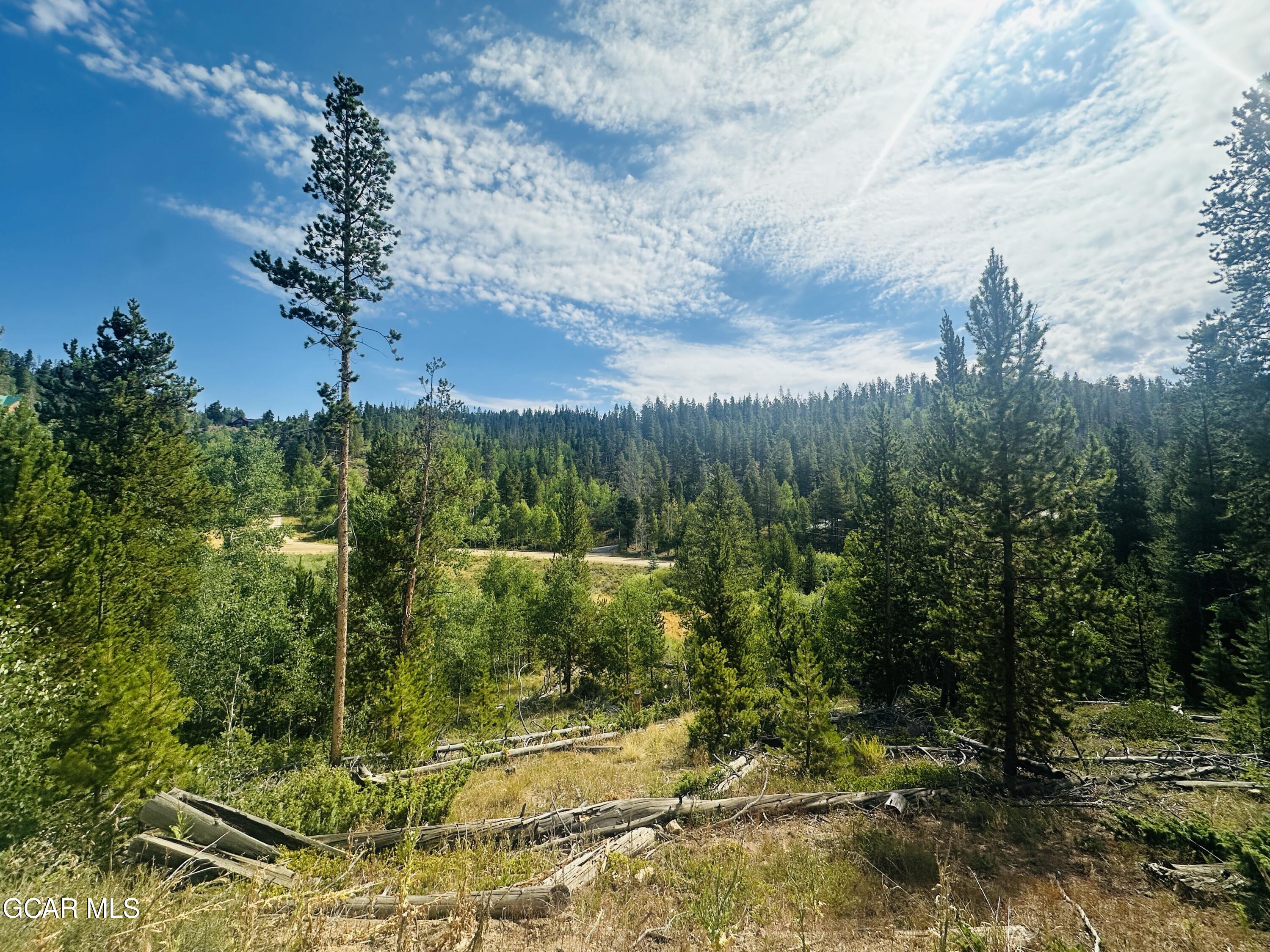 433 GCR 859 Drive Tabernash CO 80478