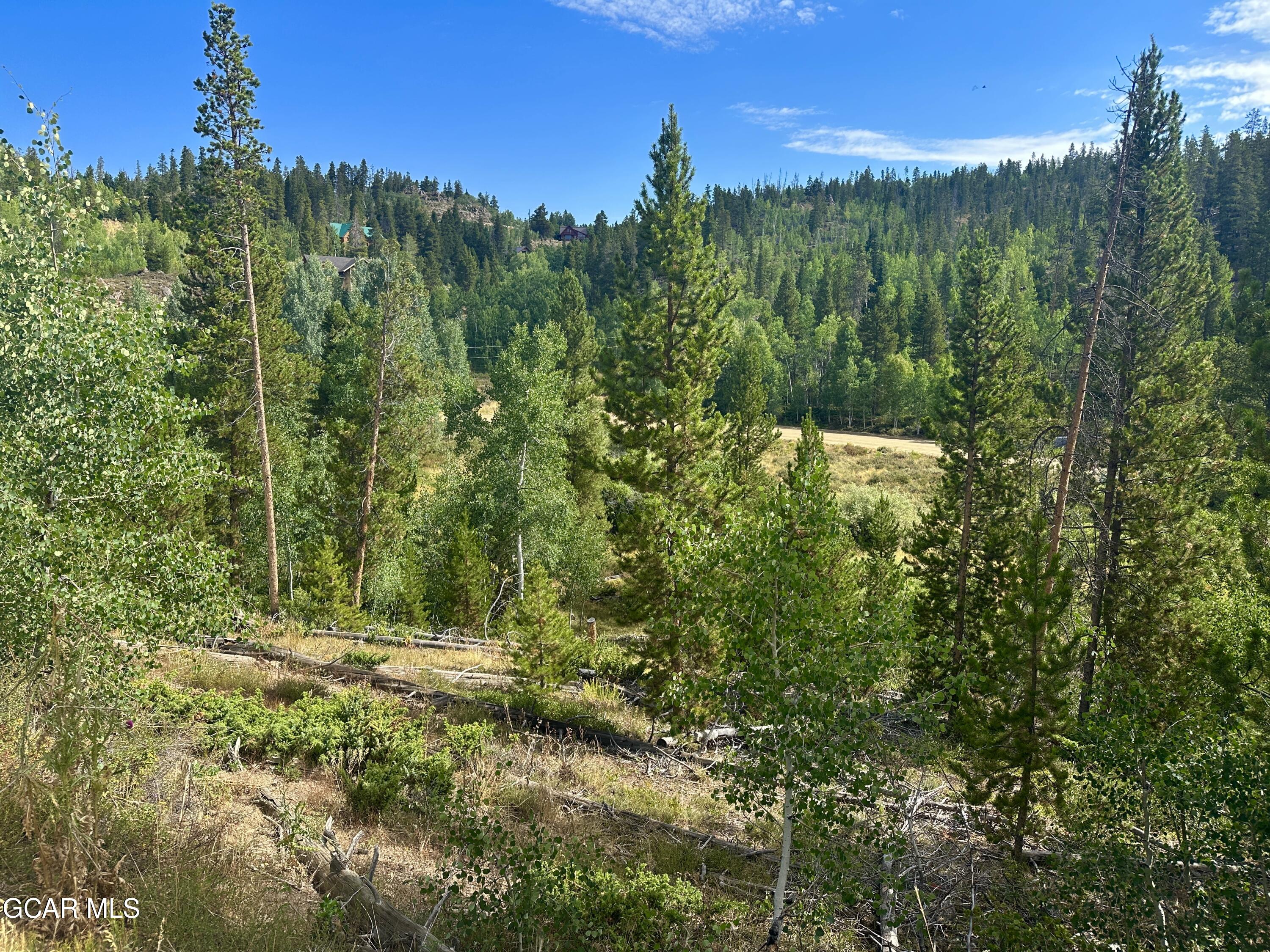 433 GCR 859 Drive Tabernash CO 80478