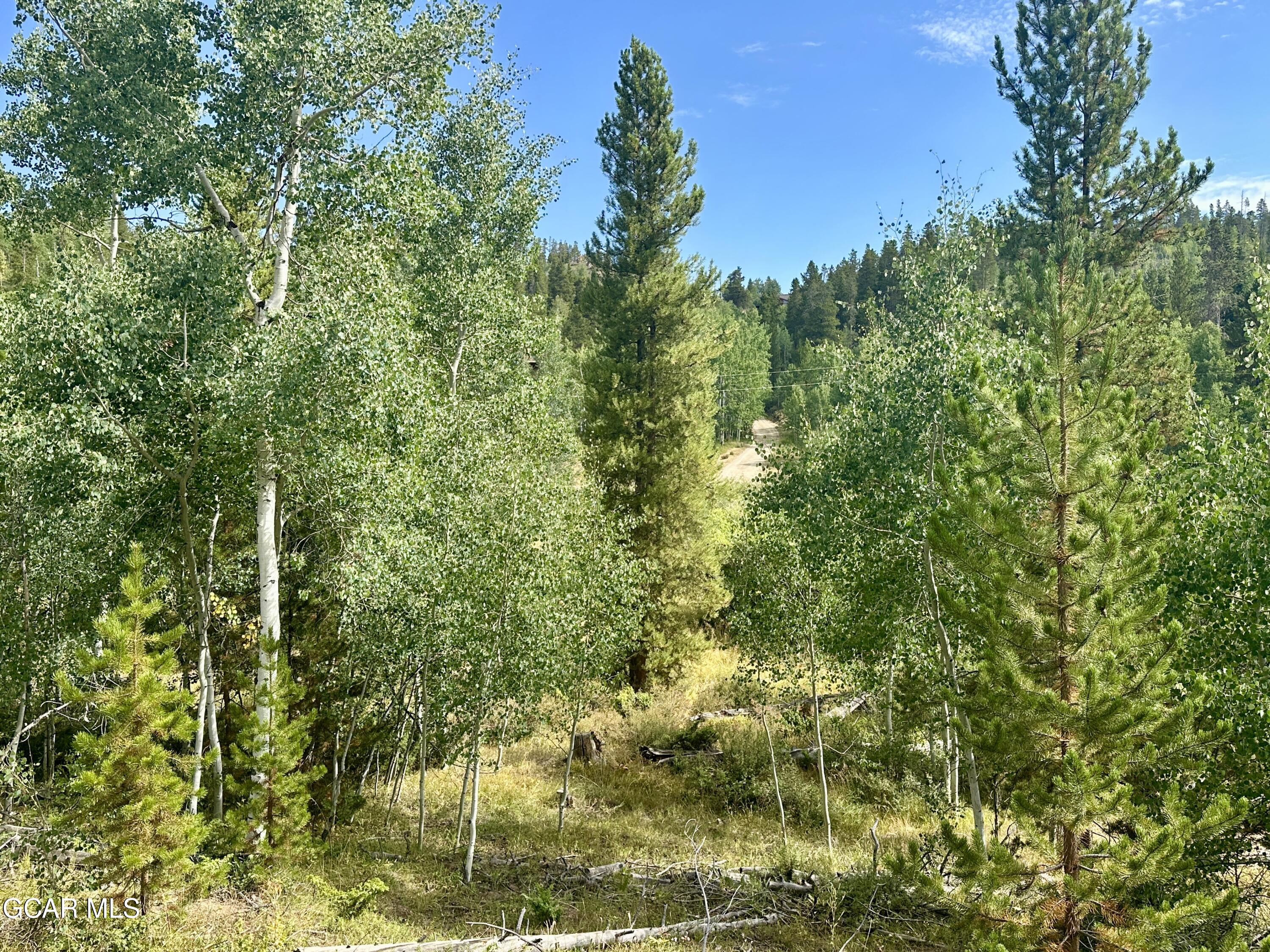 433 GCR 859 Drive Tabernash CO 80478