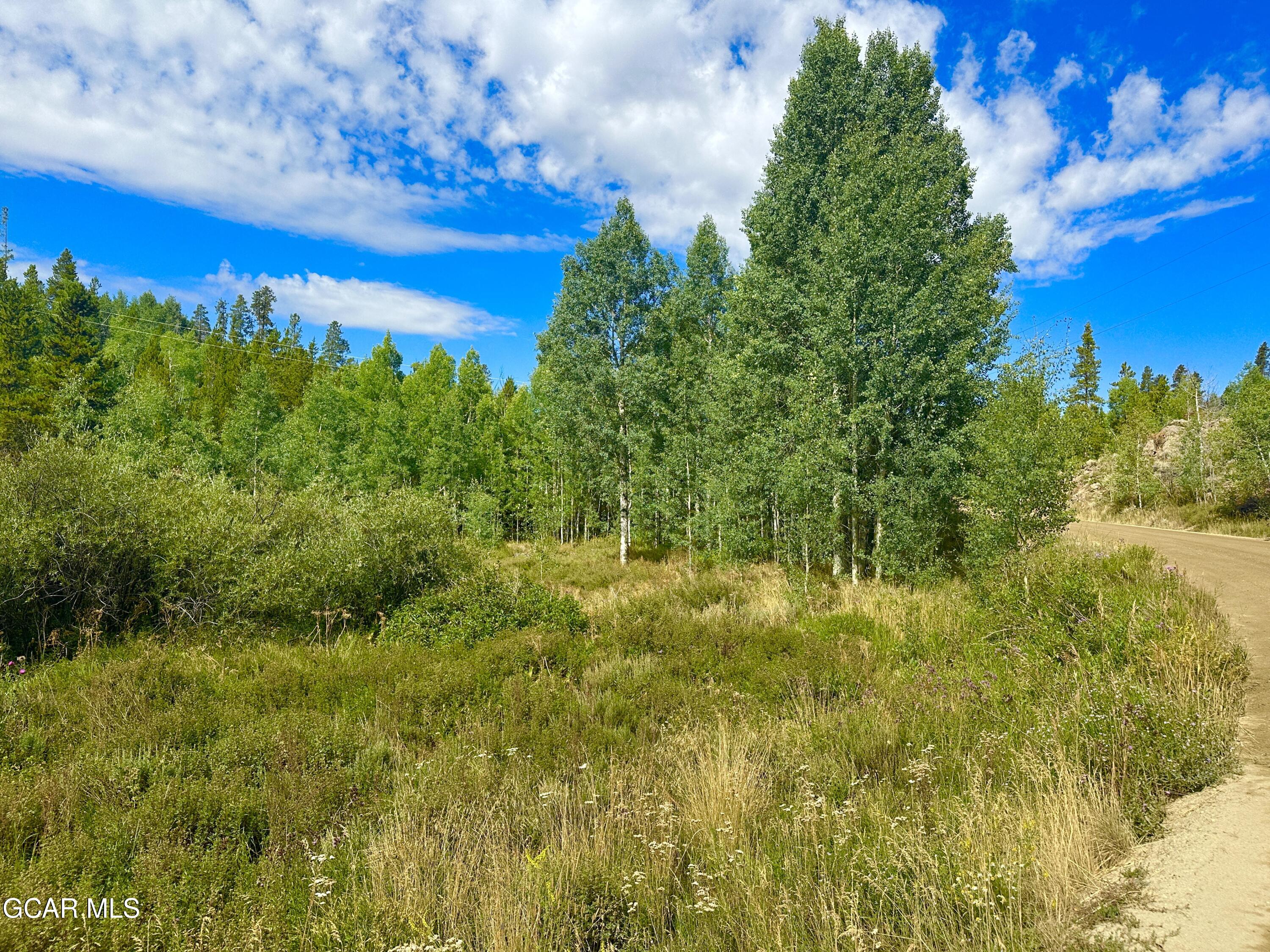 433 GCR 859 Drive Tabernash CO 80478