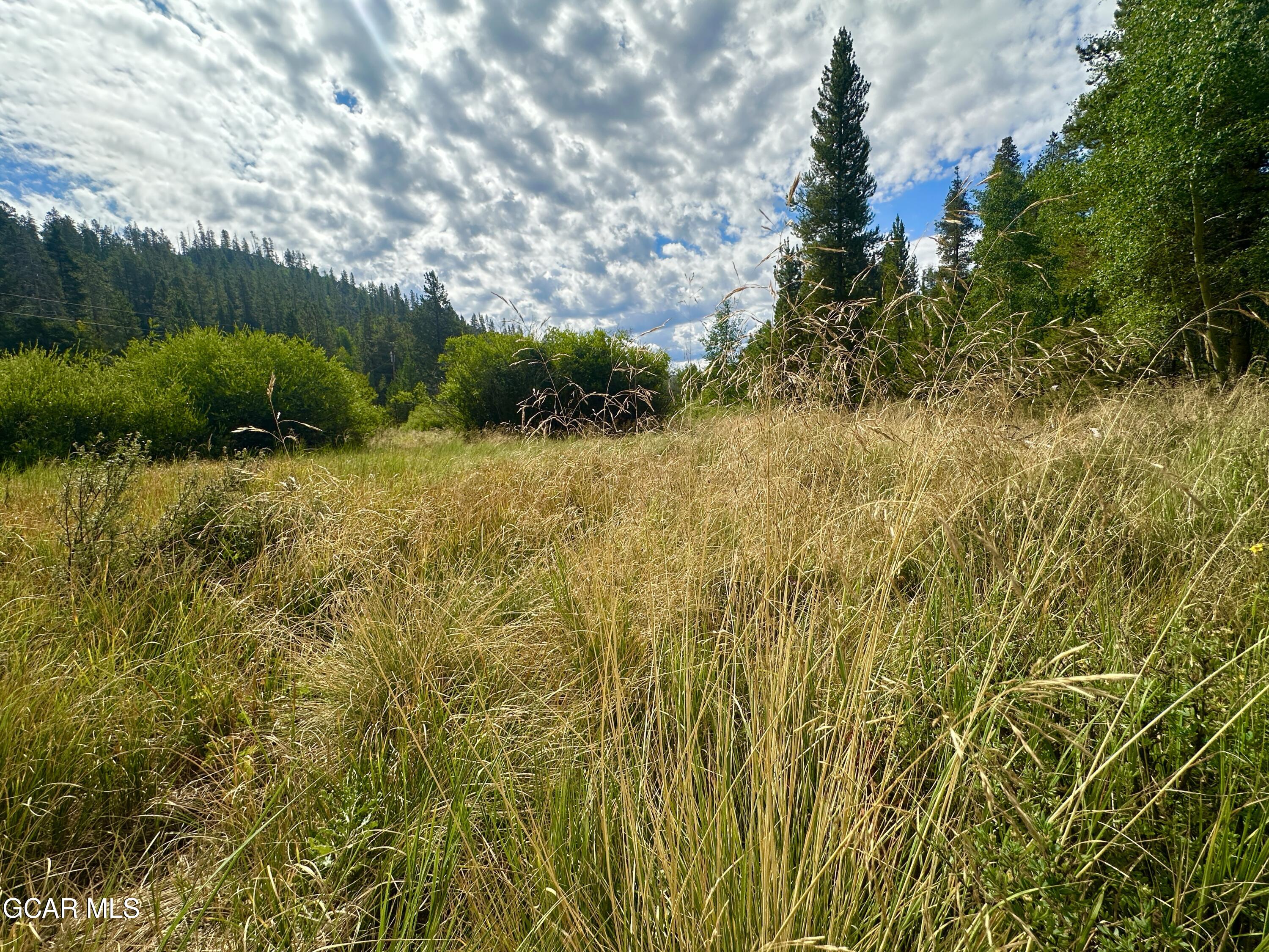 433 GCR 859 Drive Tabernash CO 80478