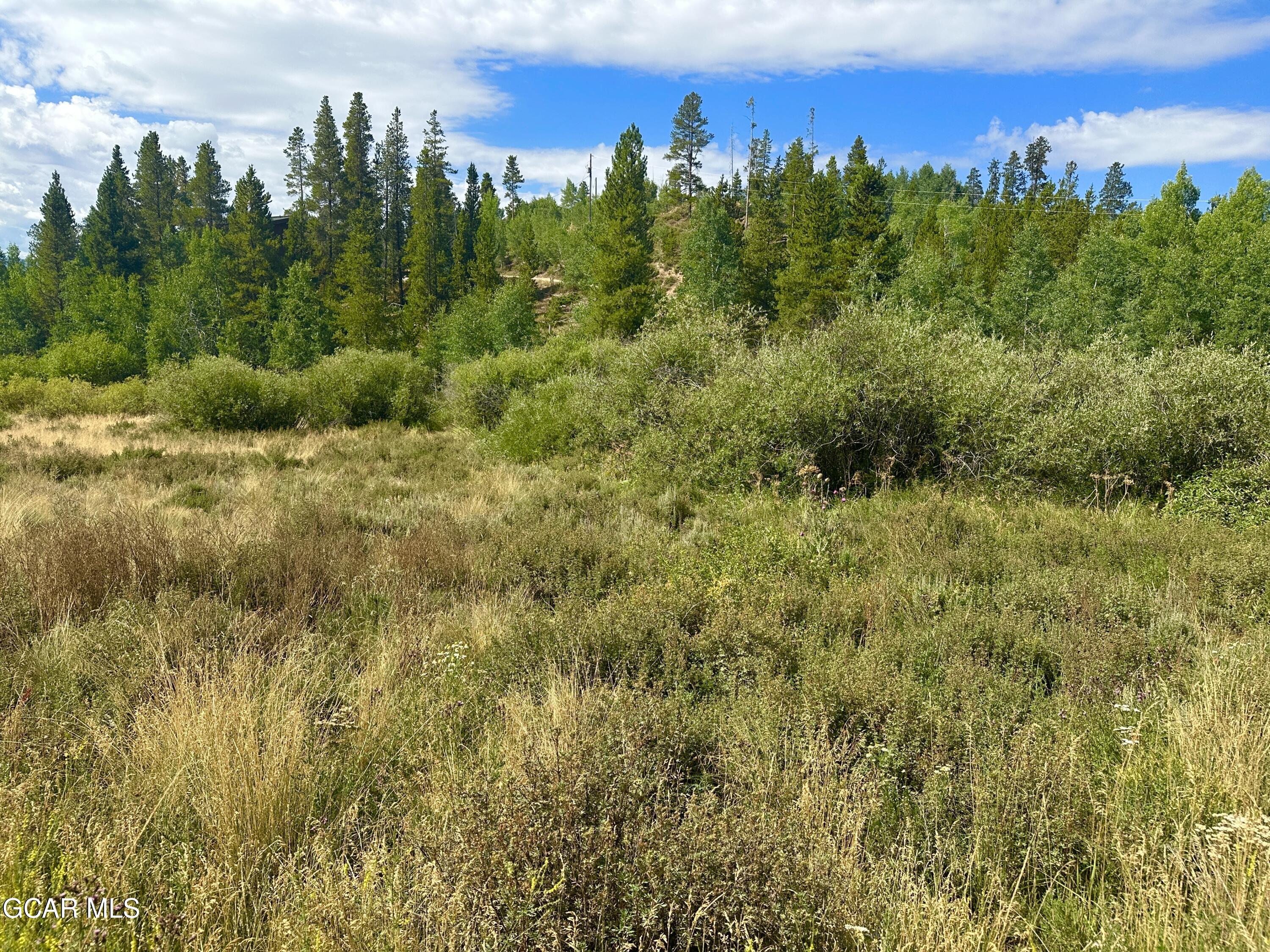 433 GCR 859 Drive Tabernash CO 80478