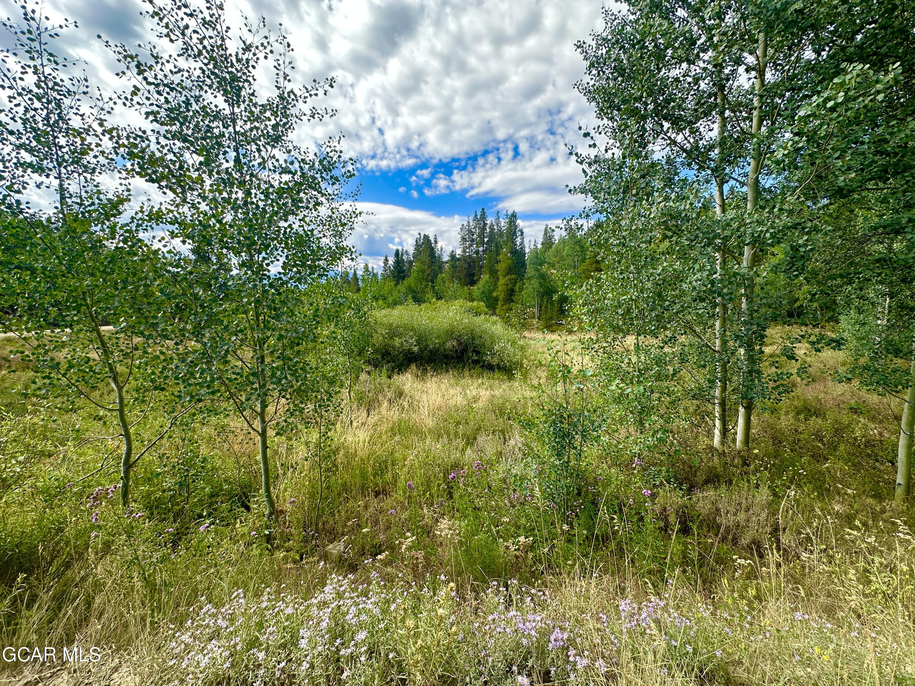 433 GCR 859 Drive Tabernash CO 80478