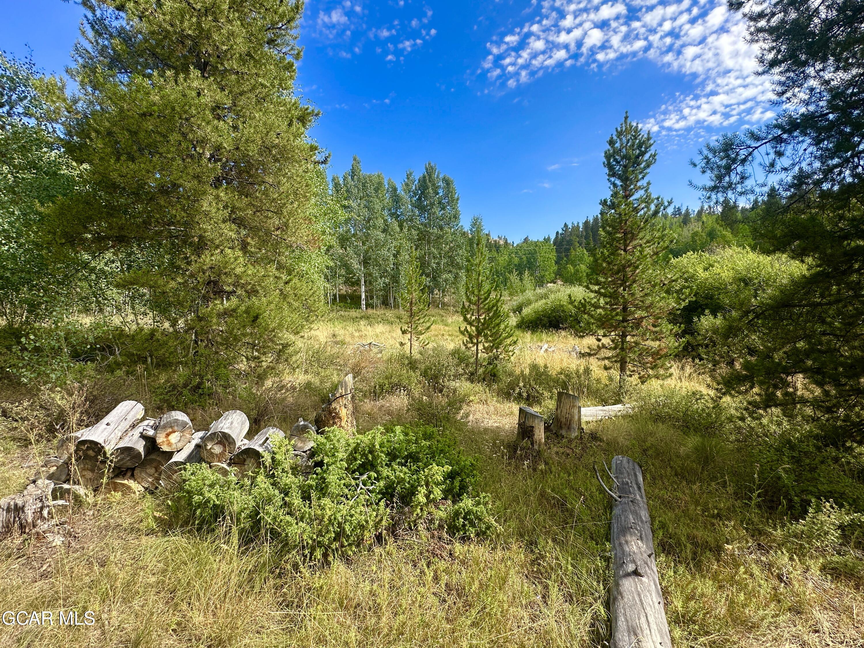 433 GCR 859 Drive Tabernash CO 80478