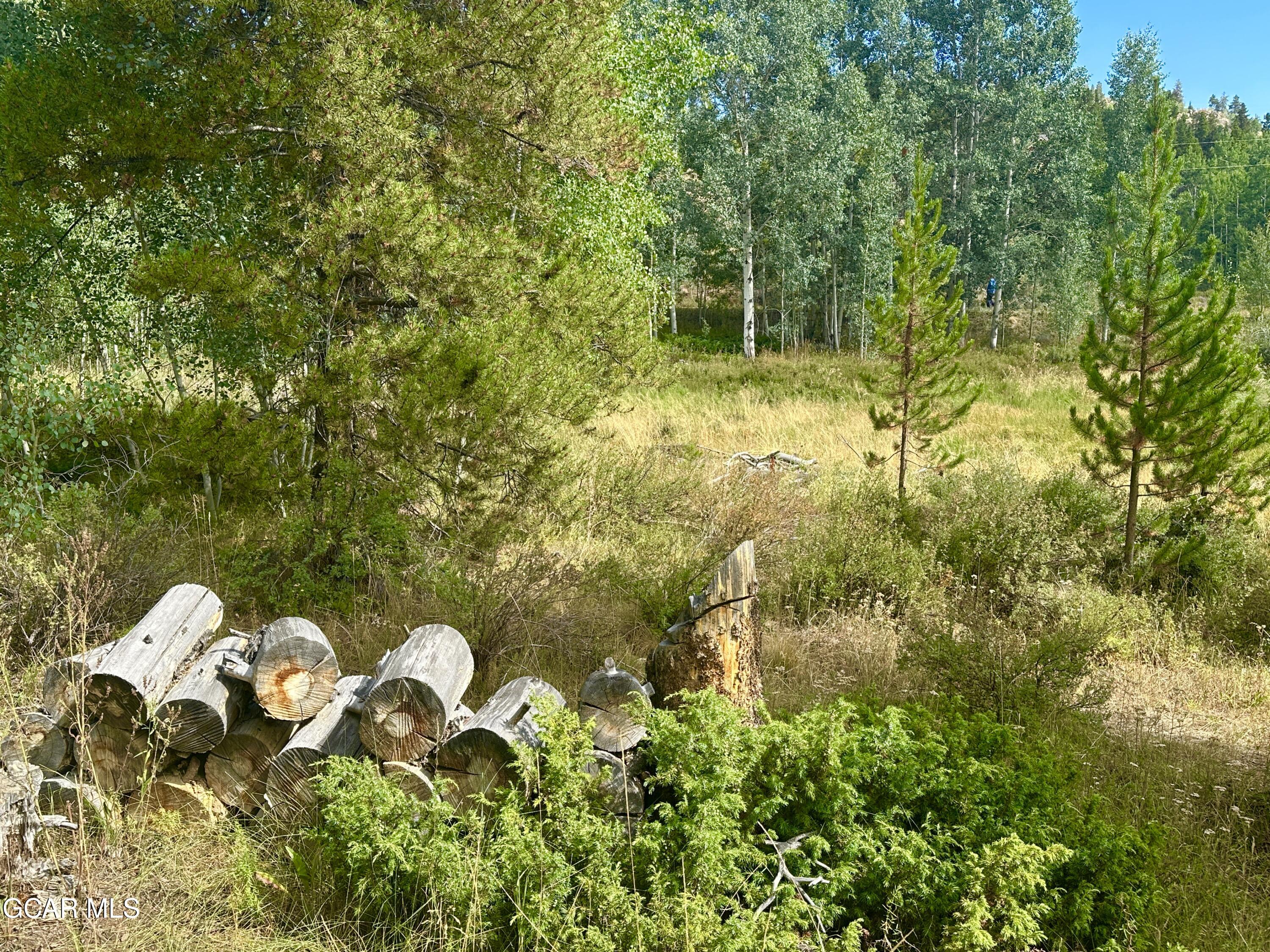 433 GCR 859 Drive Tabernash CO 80478