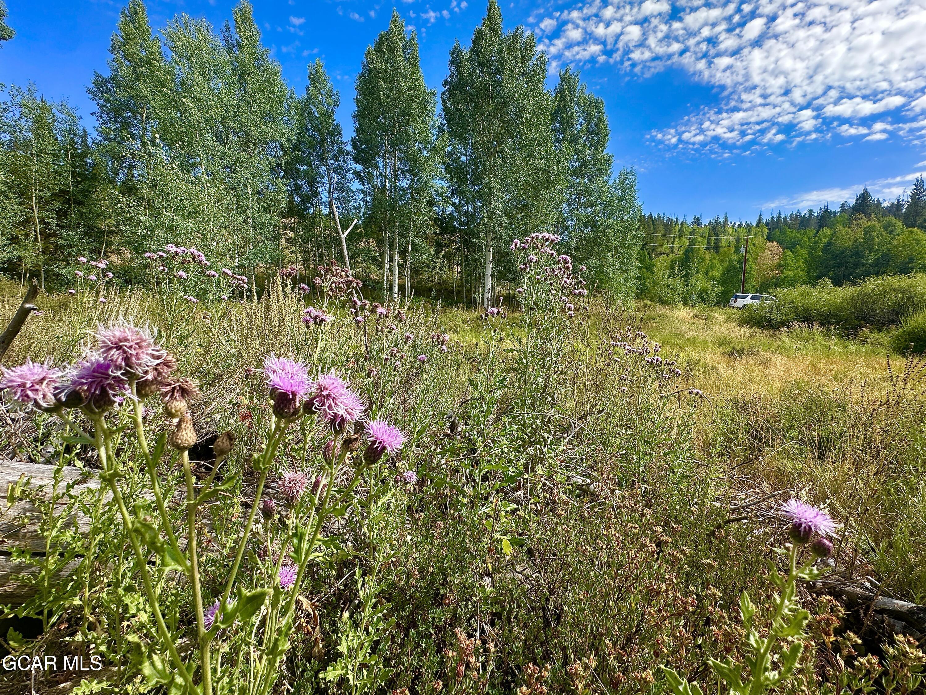 433 GCR 859 Drive Tabernash CO 80478