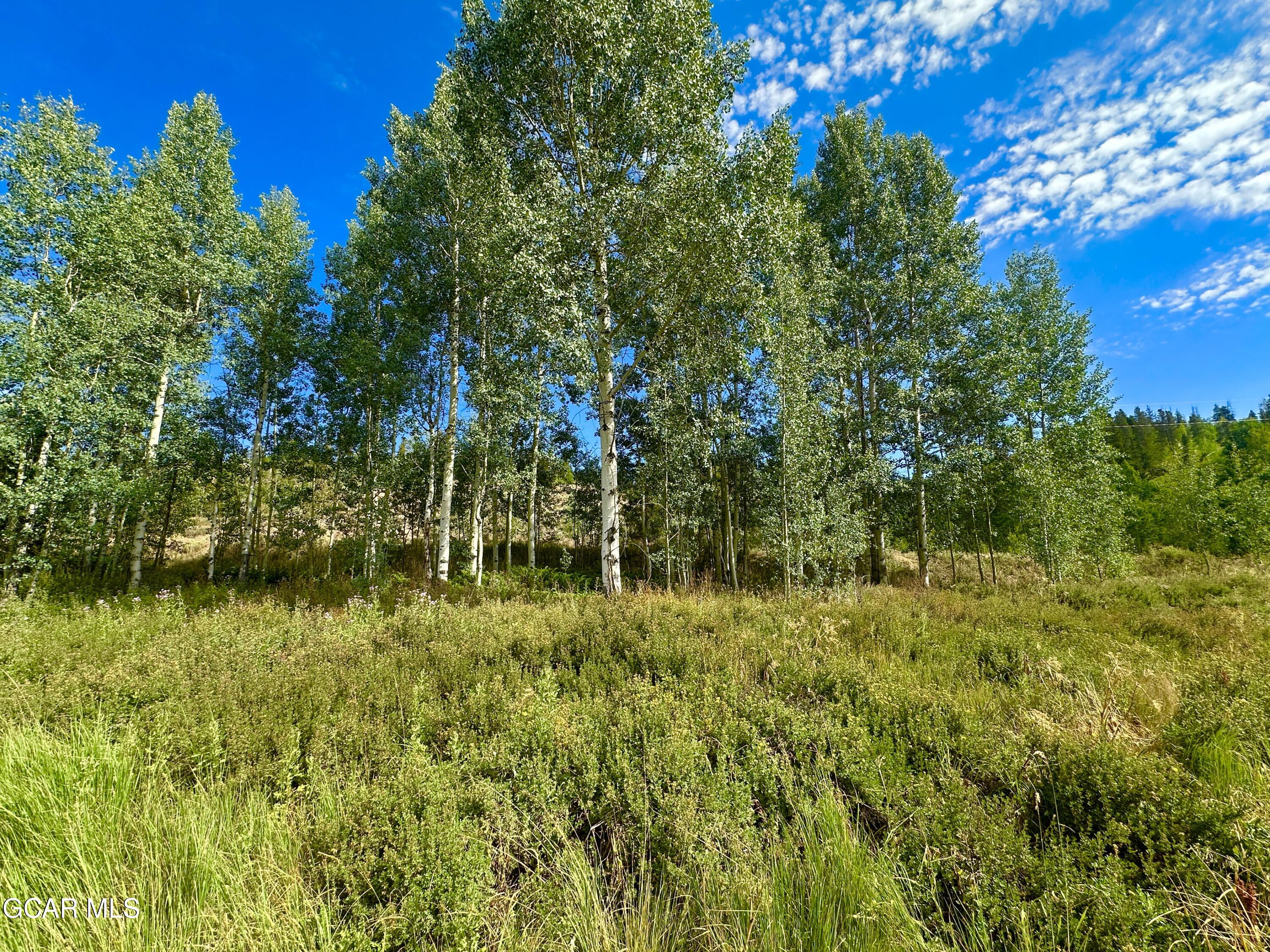 433 GCR 859 Drive Tabernash CO 80478