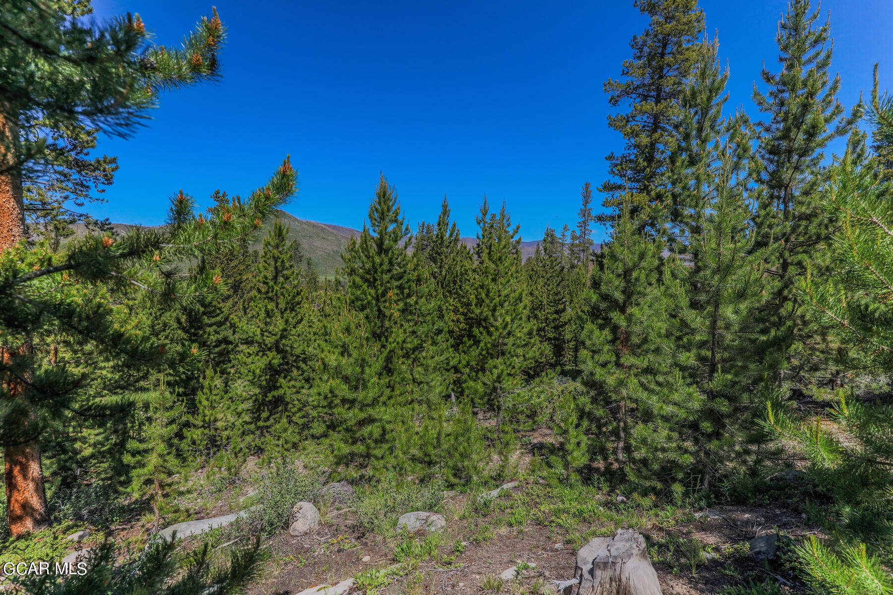 493 GCR 4632 Grand Lake CO 80447