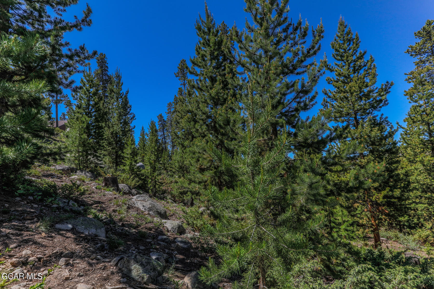 493 GCR 4632 Grand Lake CO 80447