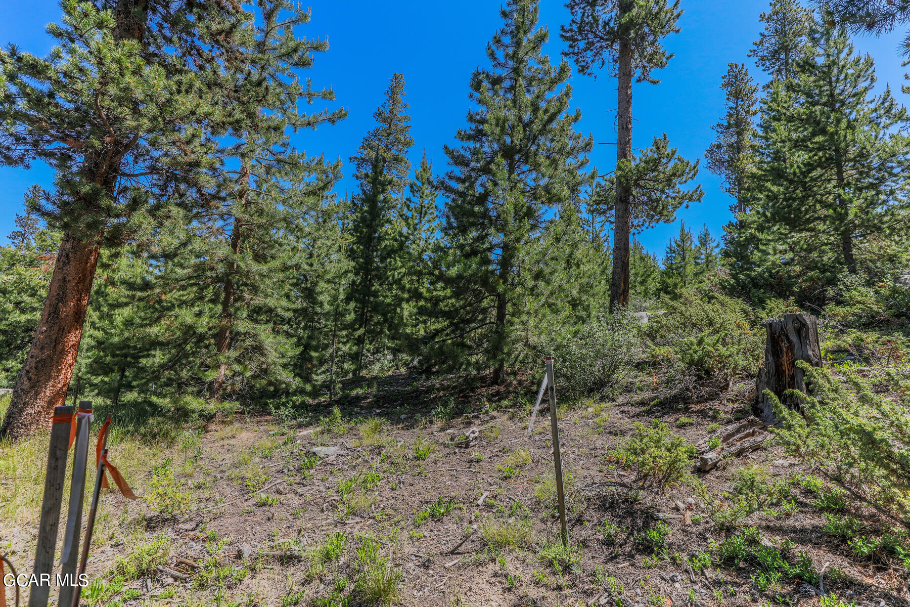 493 GCR 4632 Grand Lake CO 80447