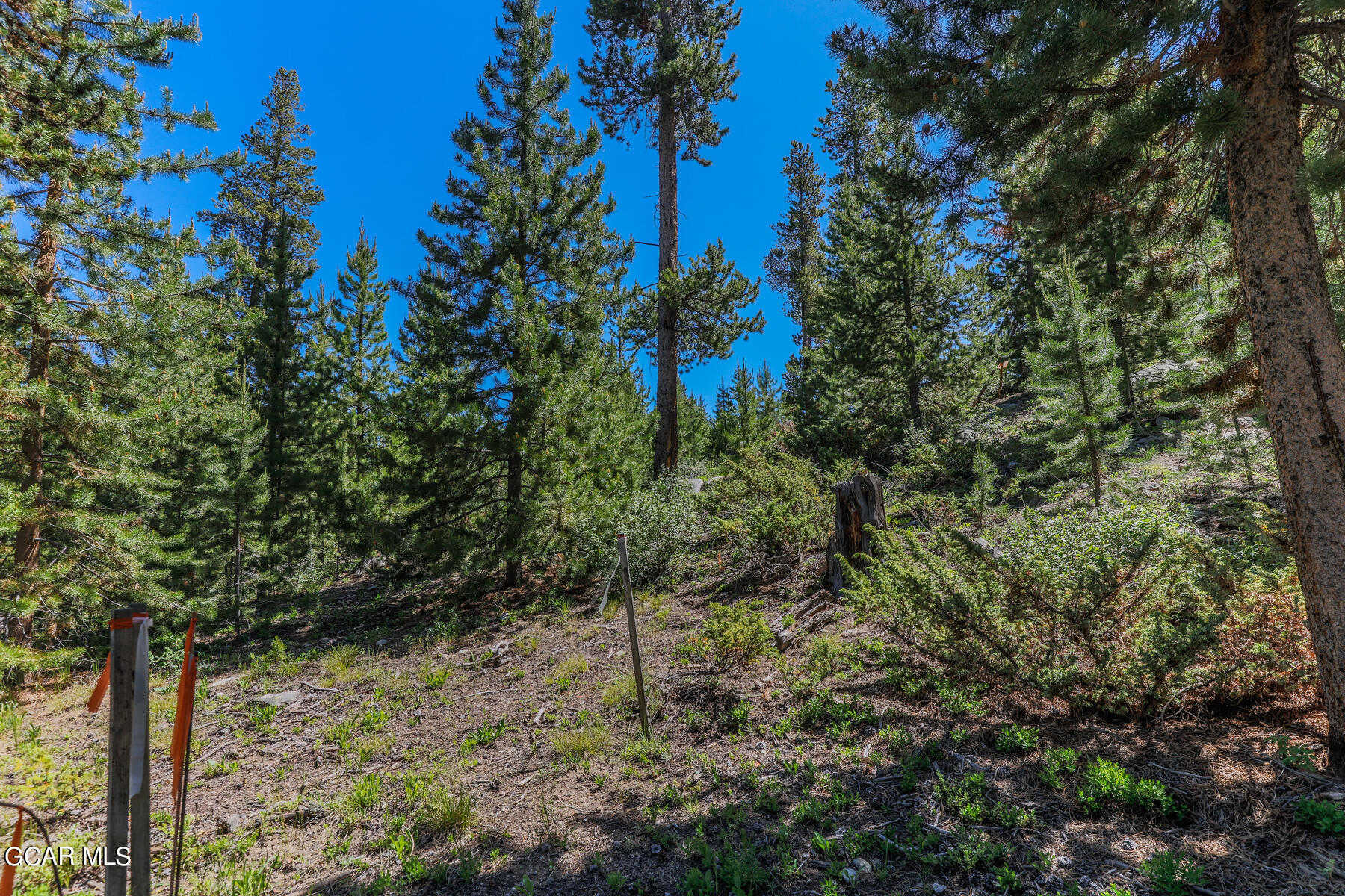 493 GCR 4632 Grand Lake CO 80447