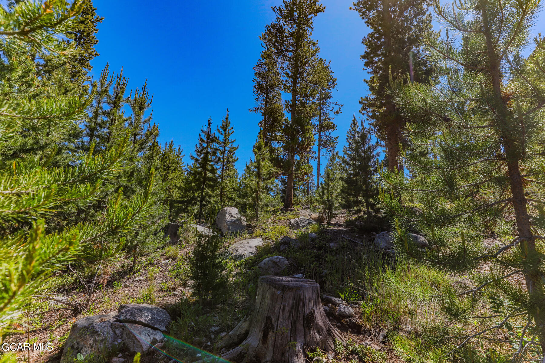 493 GCR 4632 Grand Lake CO 80447