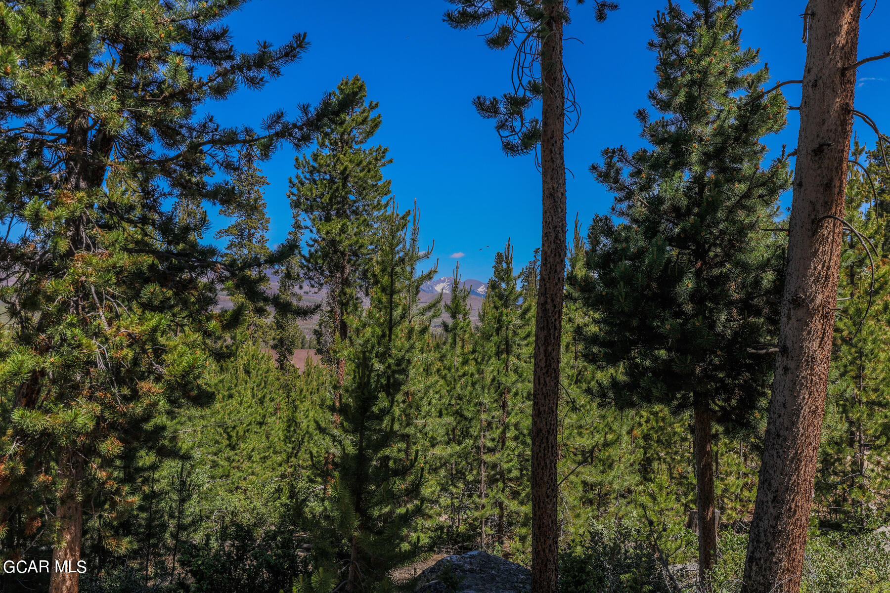 493 GCR 4632 Grand Lake CO 80447
