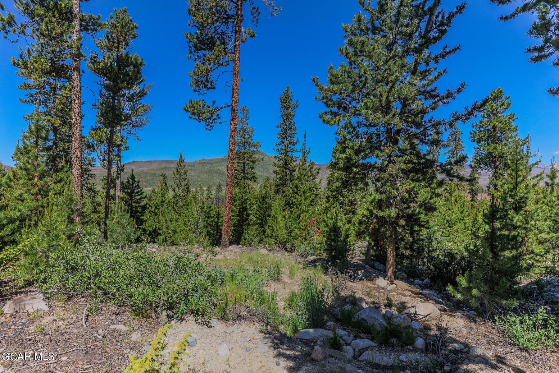 493 GCR 4632 Grand Lake CO 80447