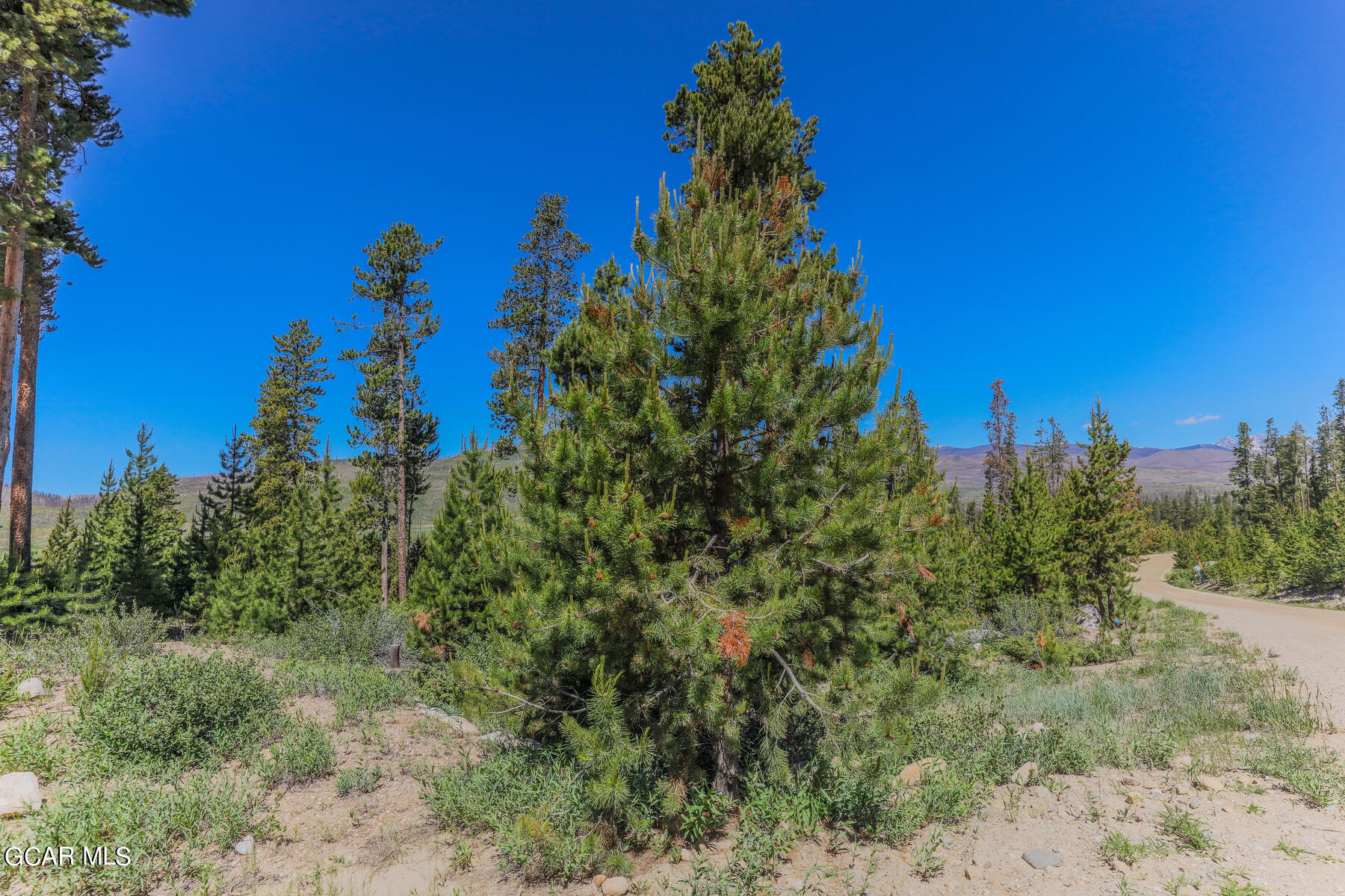 493 GCR 4632 Grand Lake CO 80447