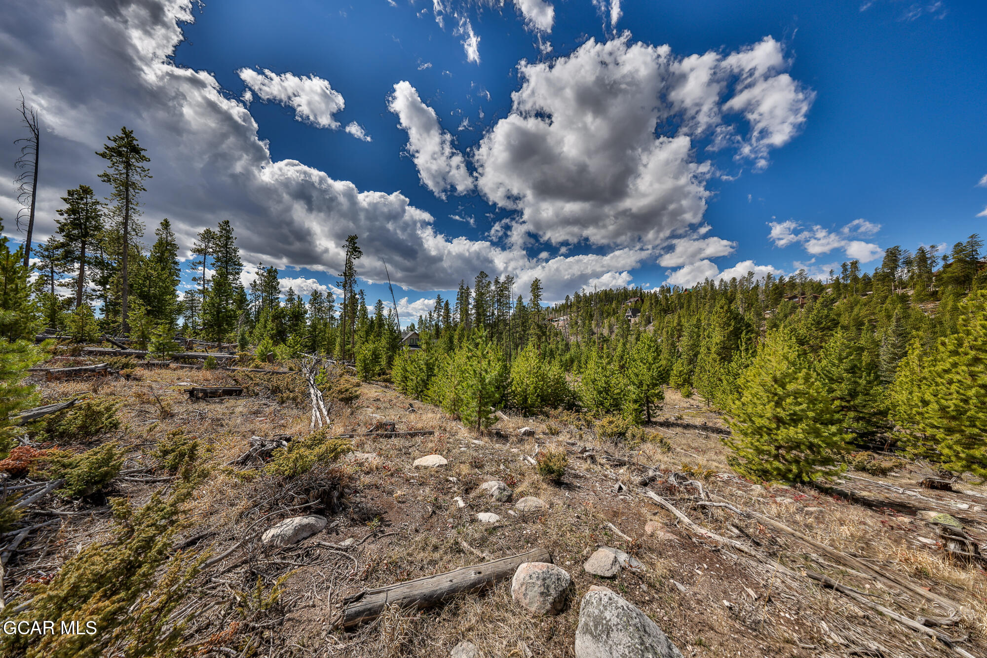 50 Lazy Lane Grand Lake CO 80447