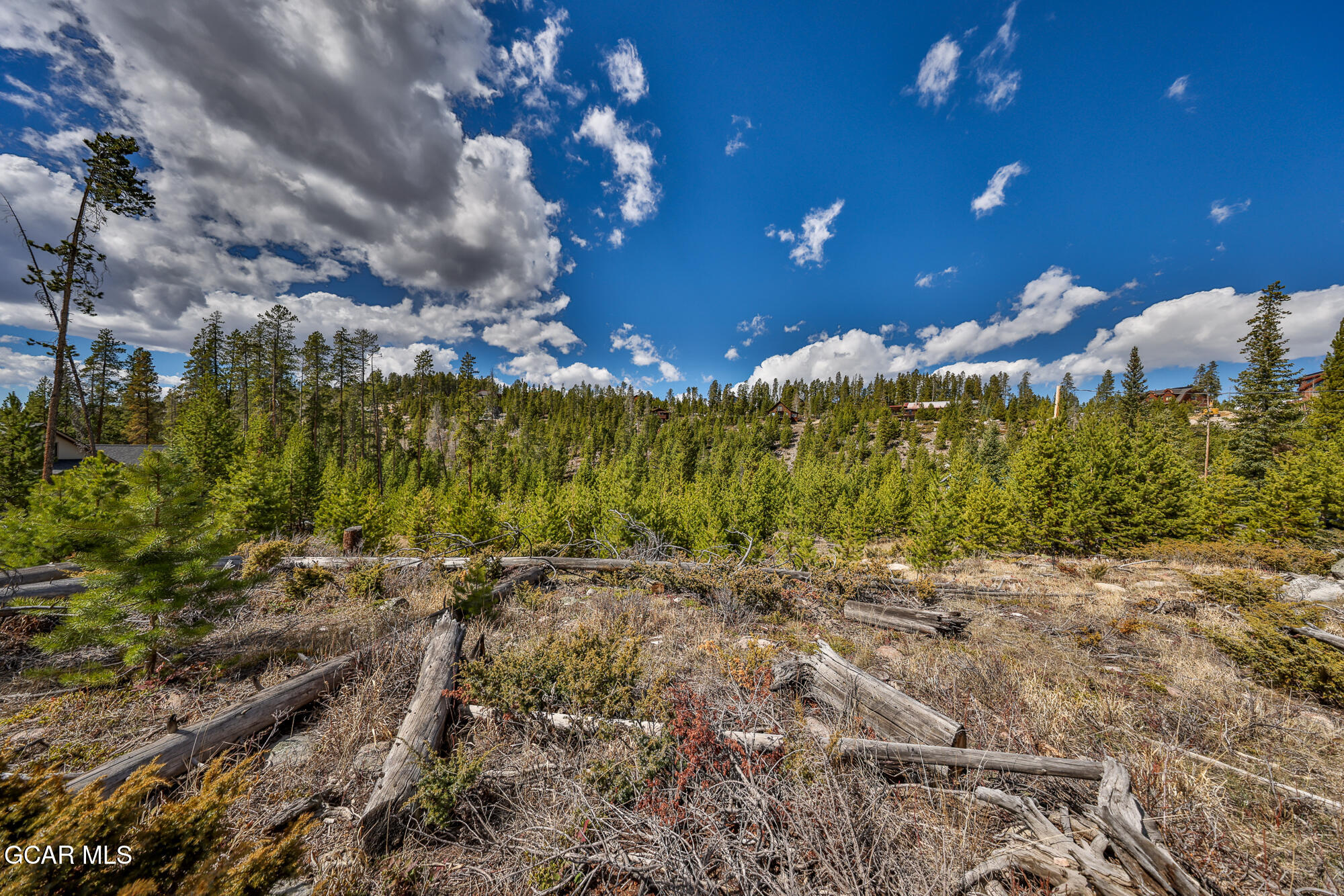 50 Lazy Lane Grand Lake CO 80447
