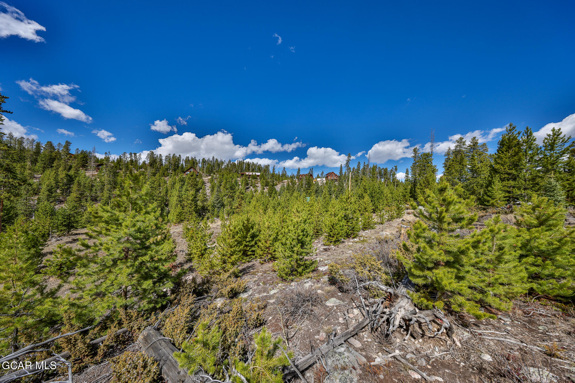 50 Lazy Lane Grand Lake CO 80447
