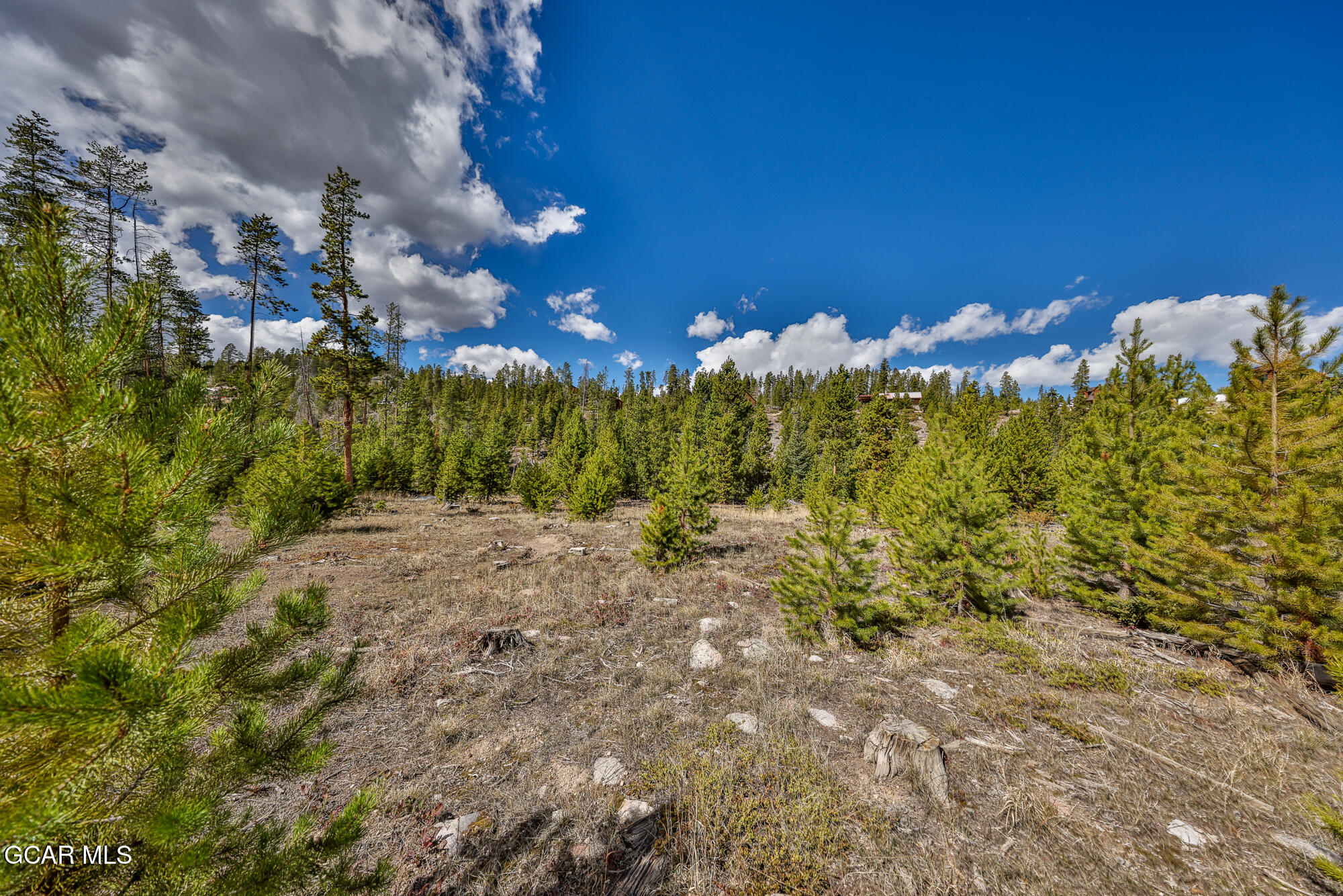 50 Lazy Lane Grand Lake CO 80447