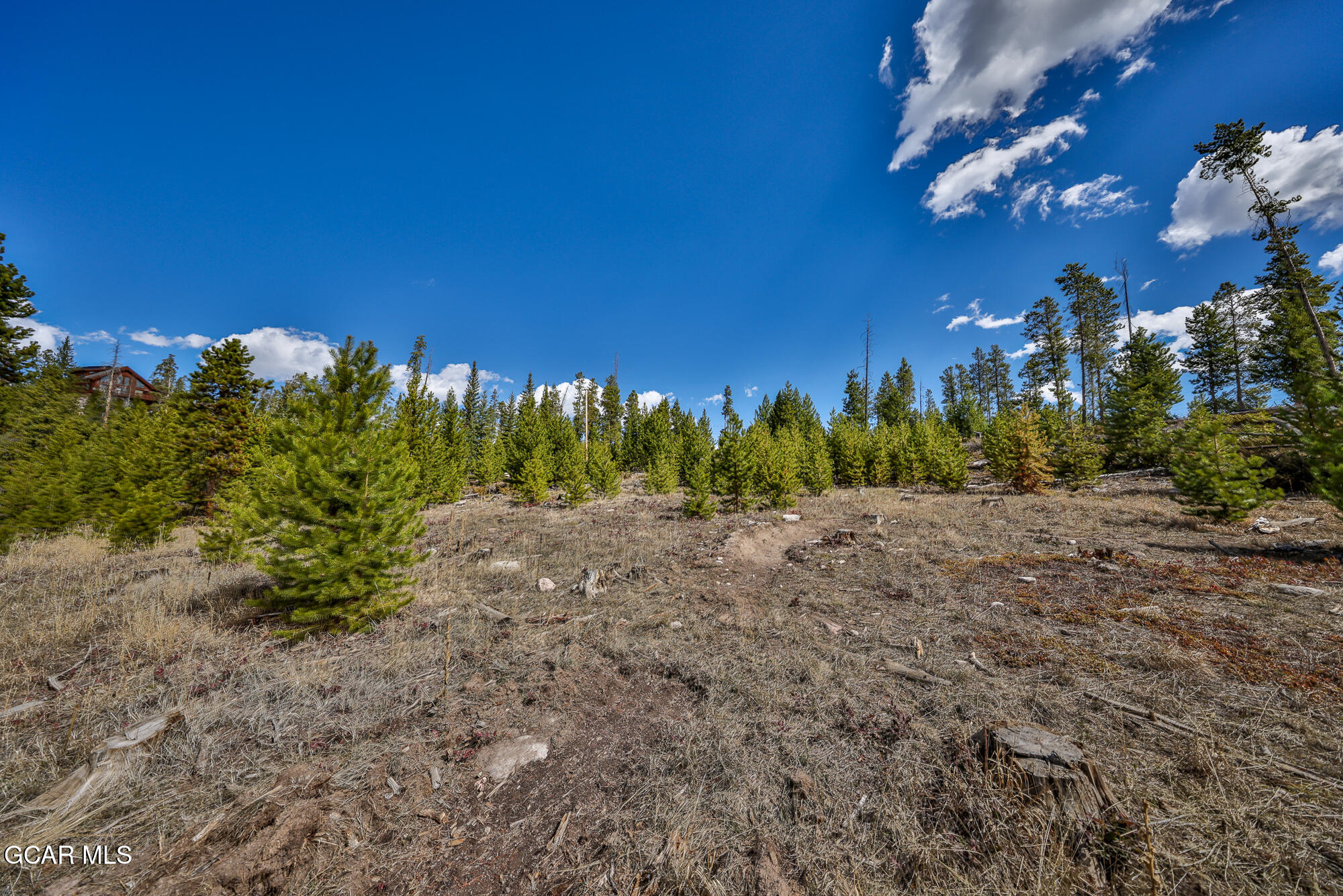 50 Lazy Lane Grand Lake CO 80447