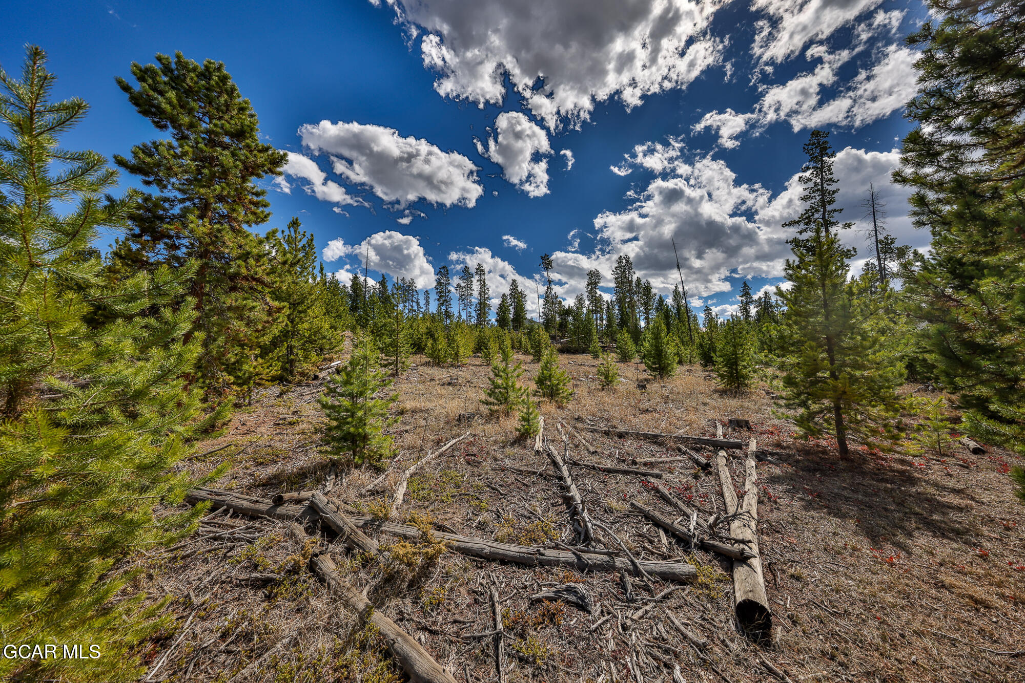 50 Lazy Lane Grand Lake CO 80447