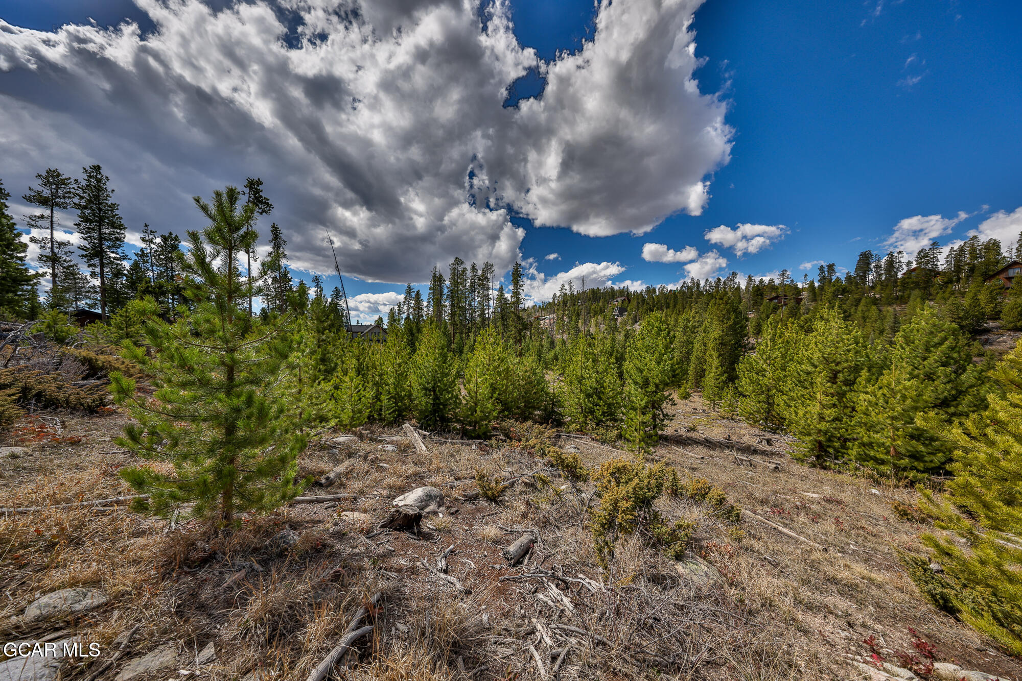 50 Lazy Lane Grand Lake CO 80447