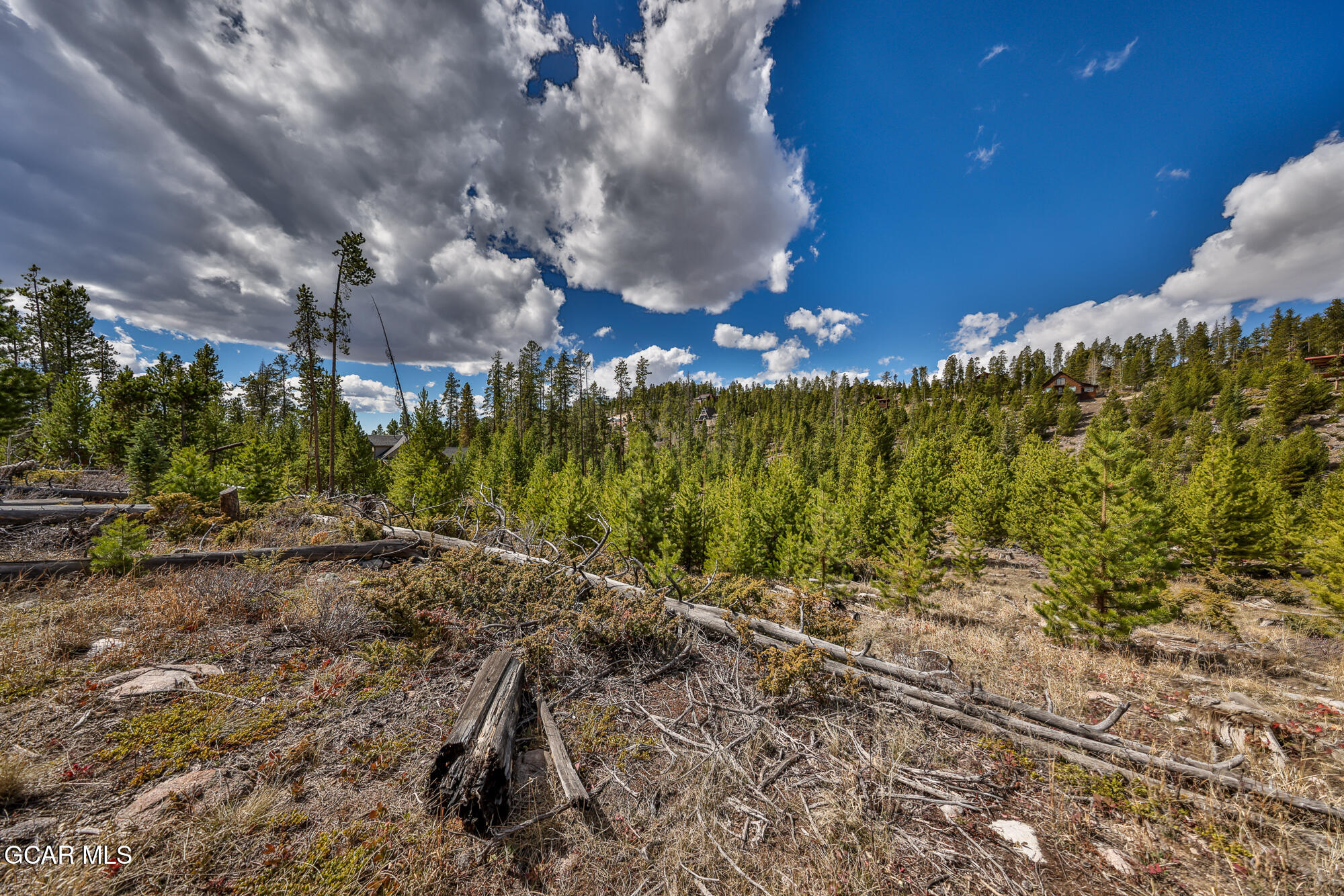 50 Lazy Lane Grand Lake CO 80447