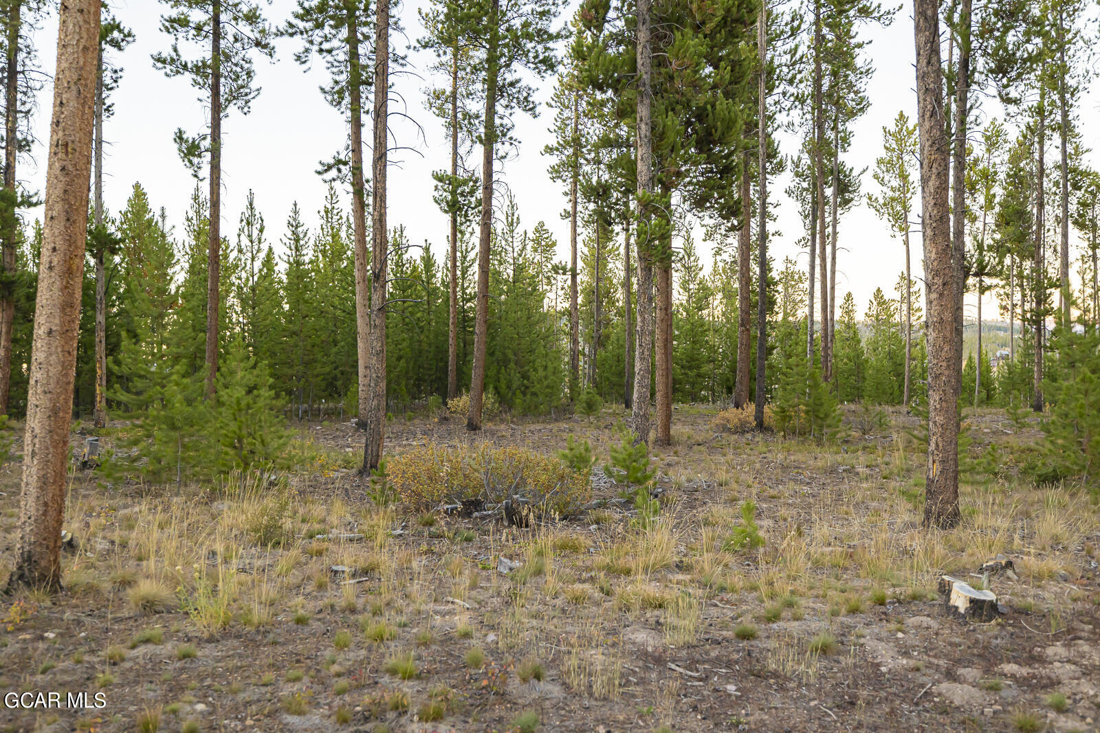 3004 Golf Course Circle Tabernash CO 80478