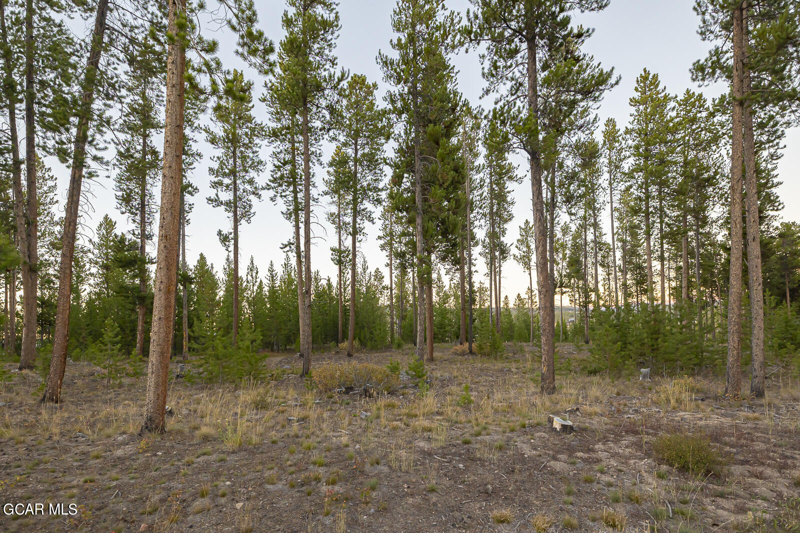 3004 Golf Course Circle Tabernash CO 80478