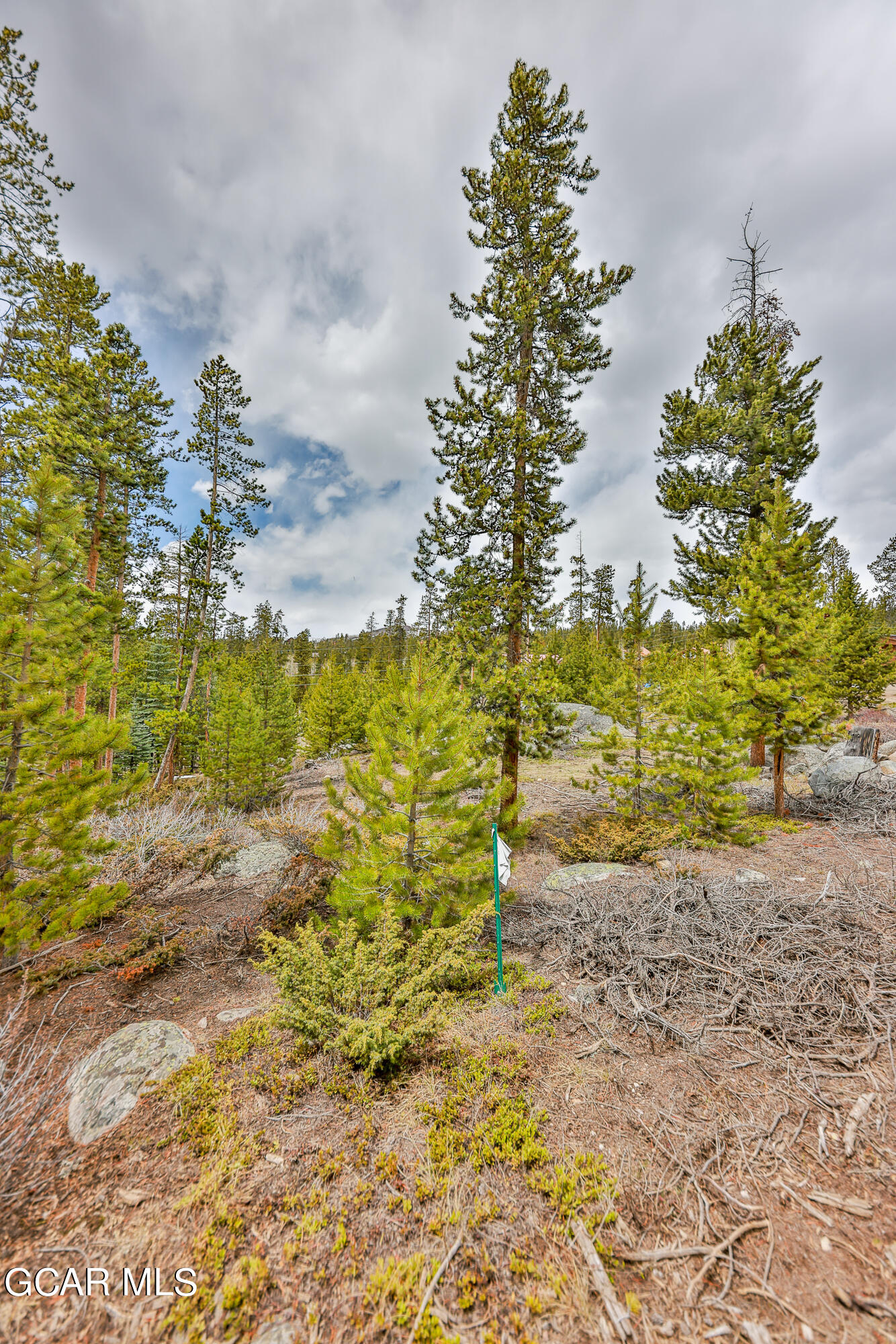 98 GCR 4656 Grand Lake CO 80447