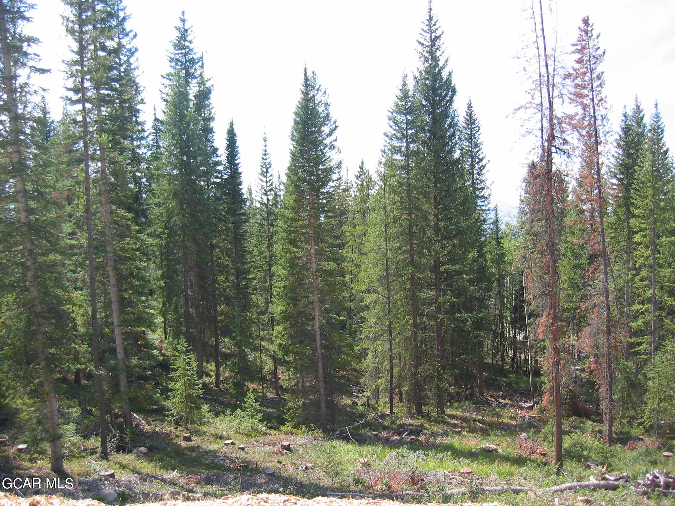 1545 Pioneer Trail Fraser CO 80442