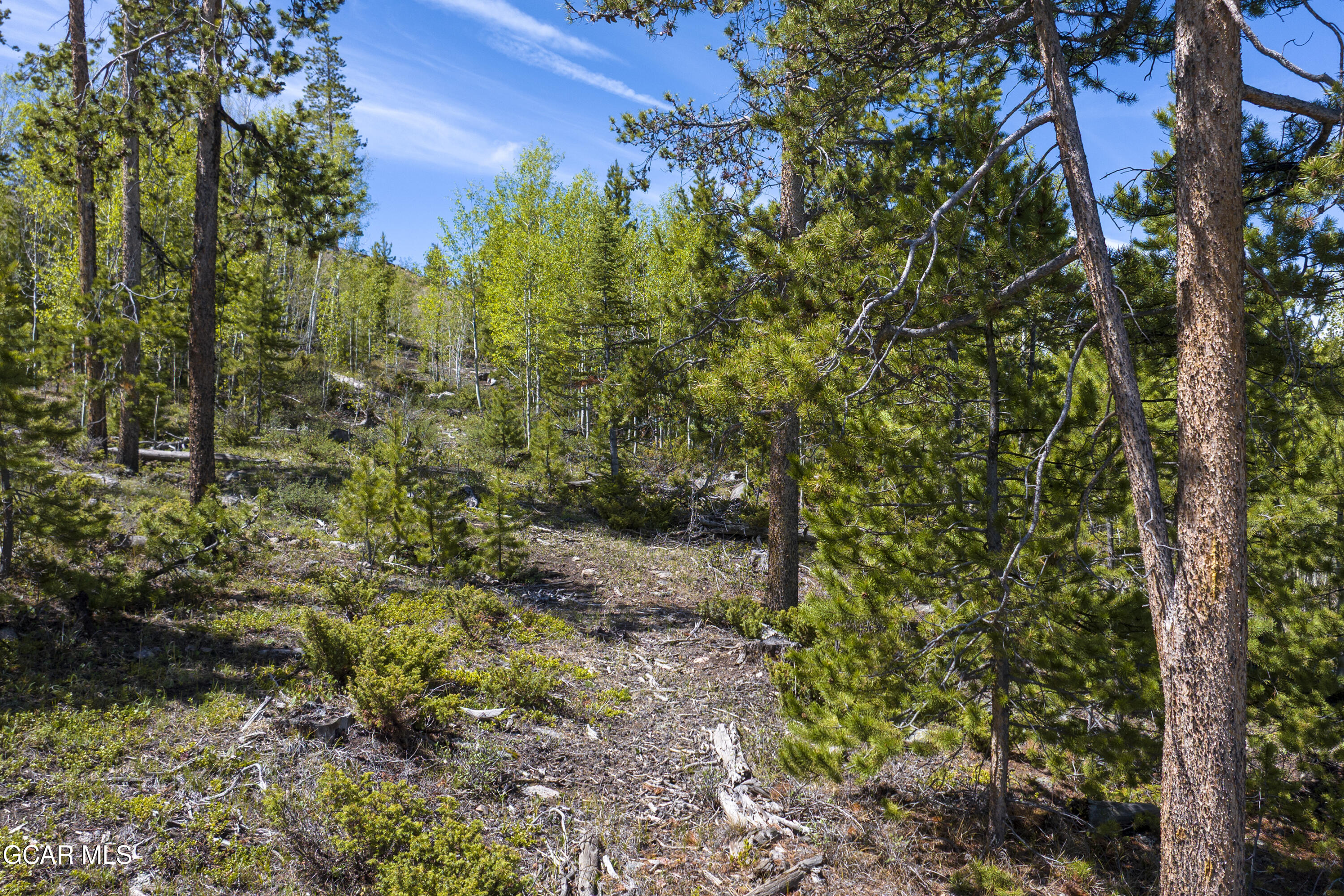 330 Cirrus Way Granby CO 80446