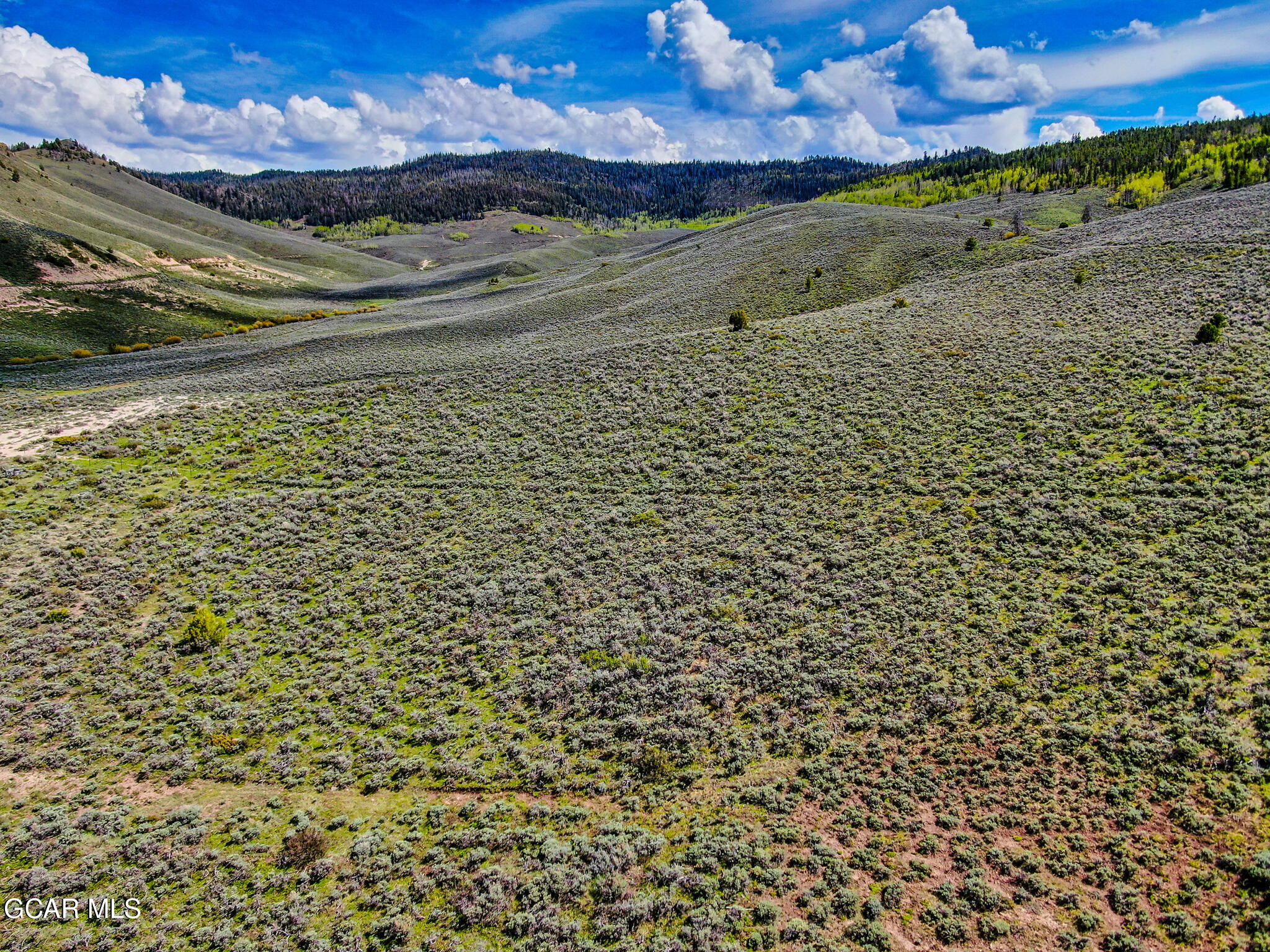 Lots 1 - 4 Ridgeway Hot Sulphur Springs CO 80451