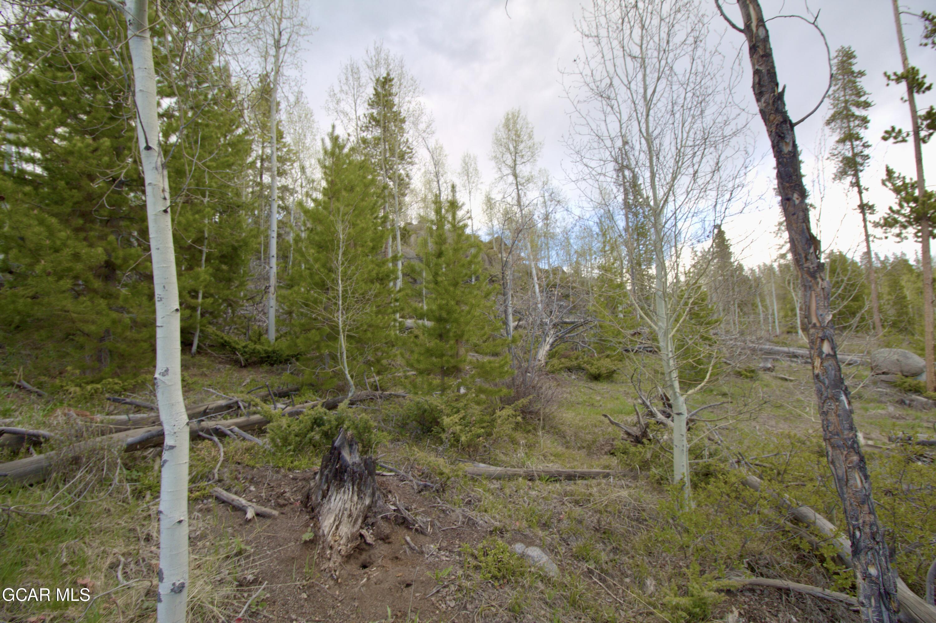 1000 Wolverine Way Tabernash CO 80478