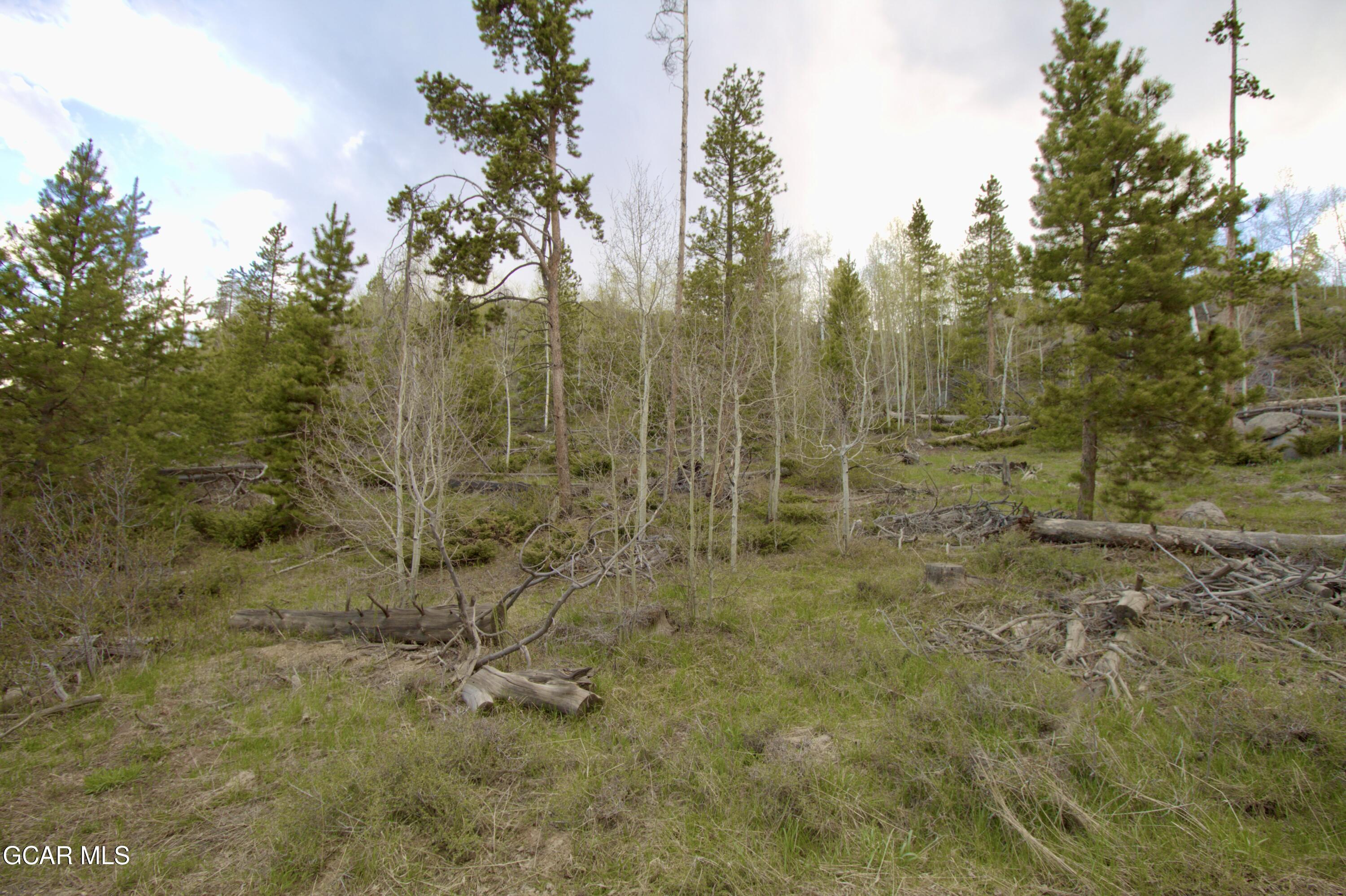 1000 Wolverine Way Tabernash CO 80478