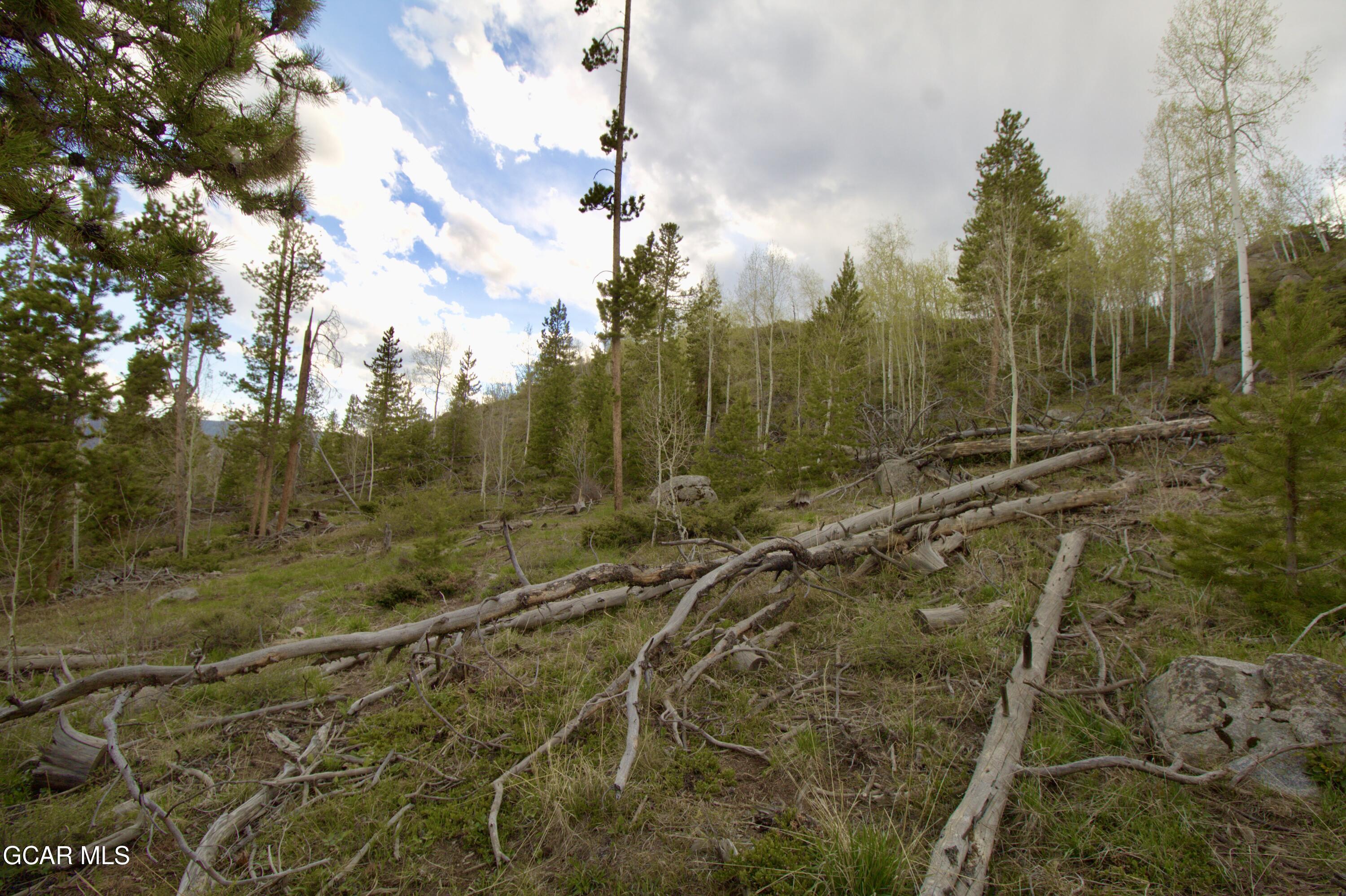 1000 Wolverine Way Tabernash CO 80478