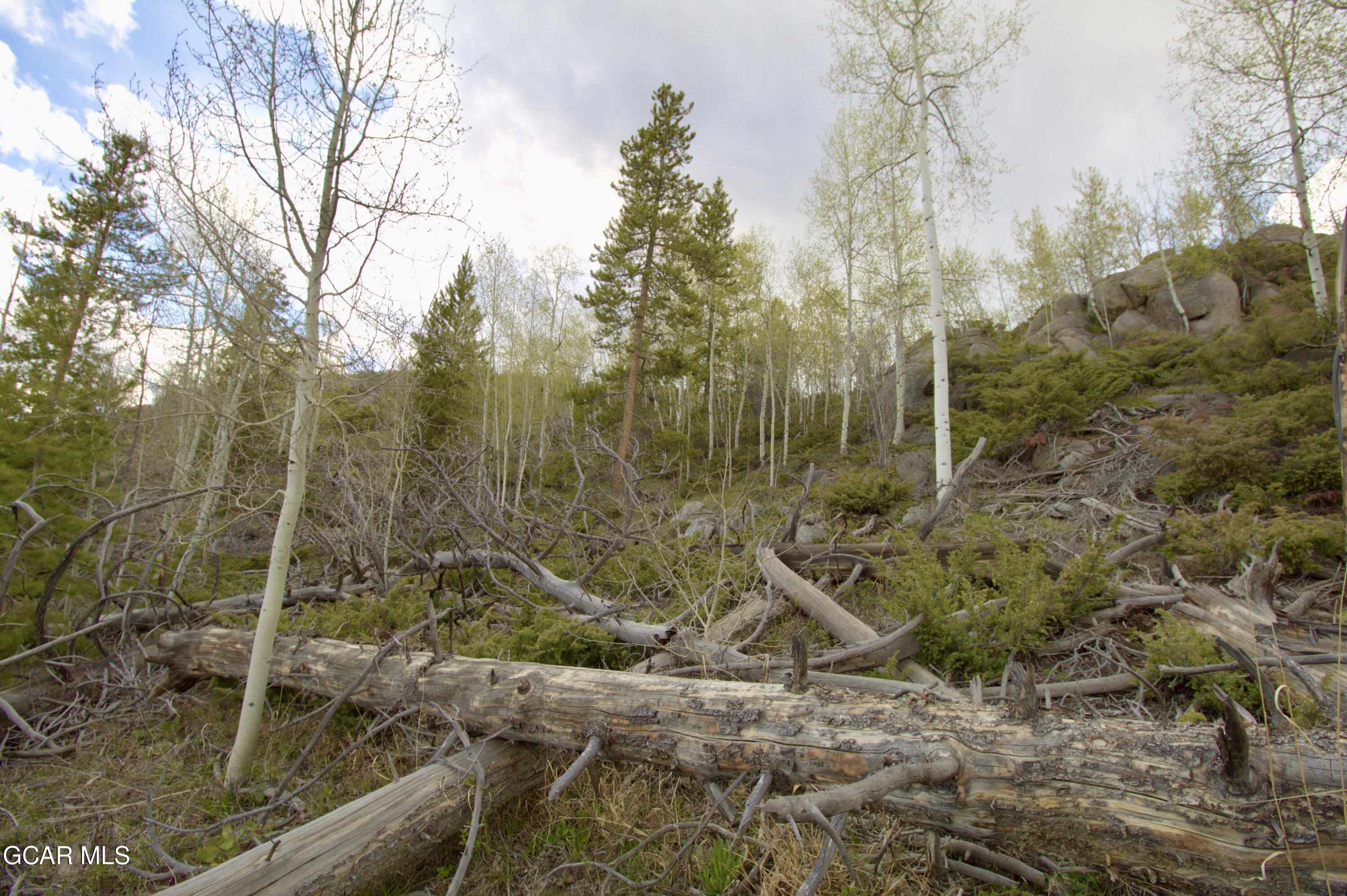 1000 Wolverine Way Tabernash CO 80478