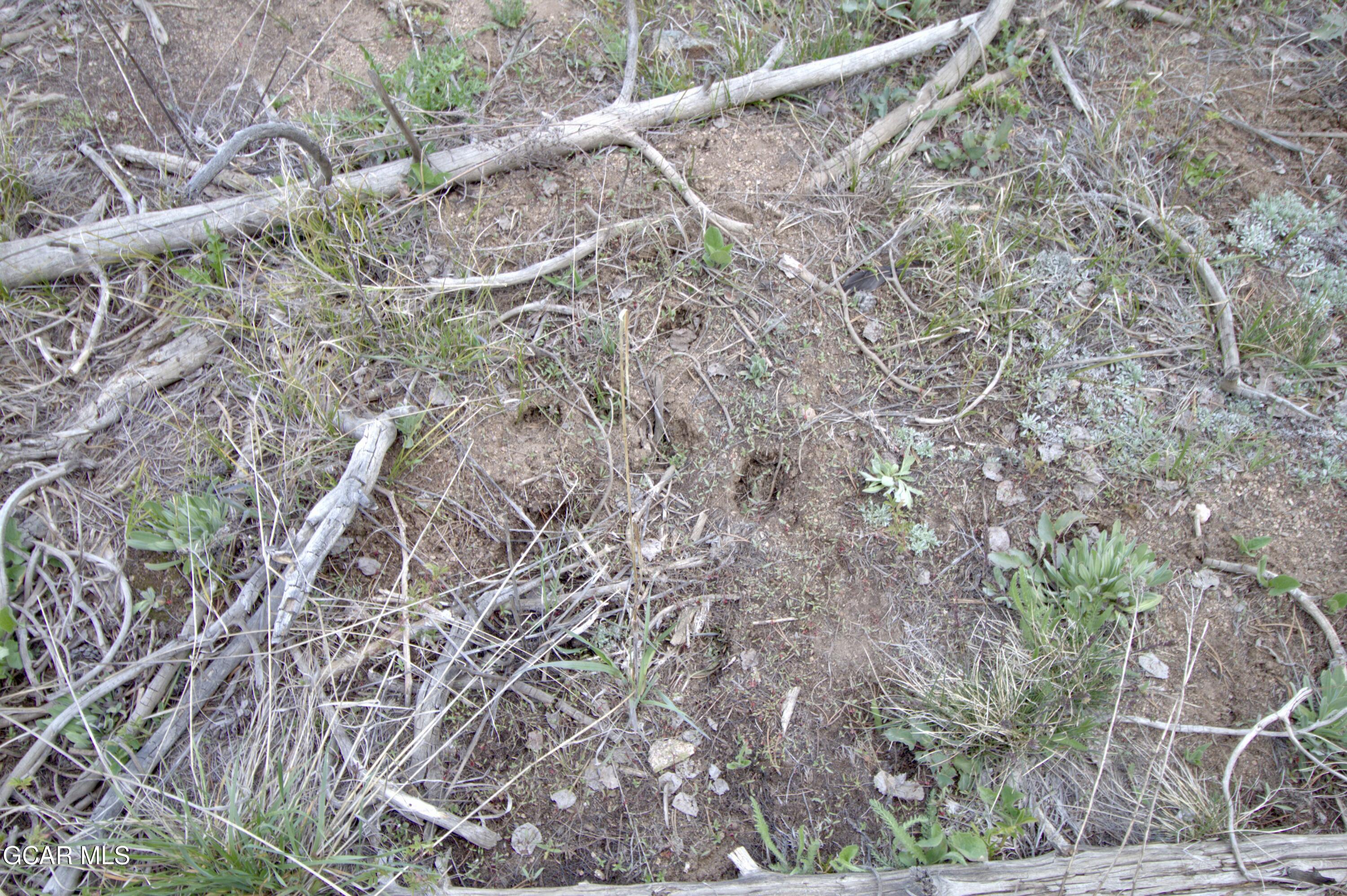 1000 Wolverine Way Tabernash CO 80478