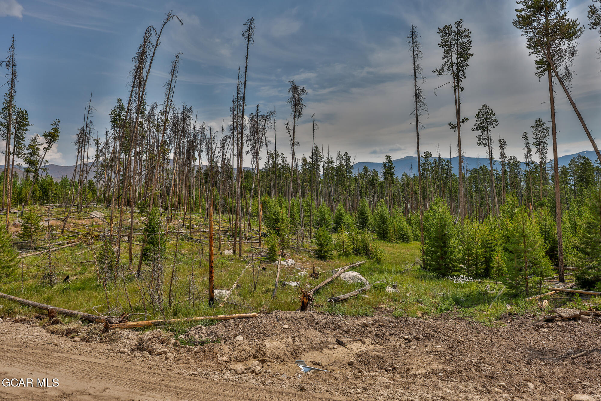 Tbd GCR 471 #1 Grand Lake CO 80447