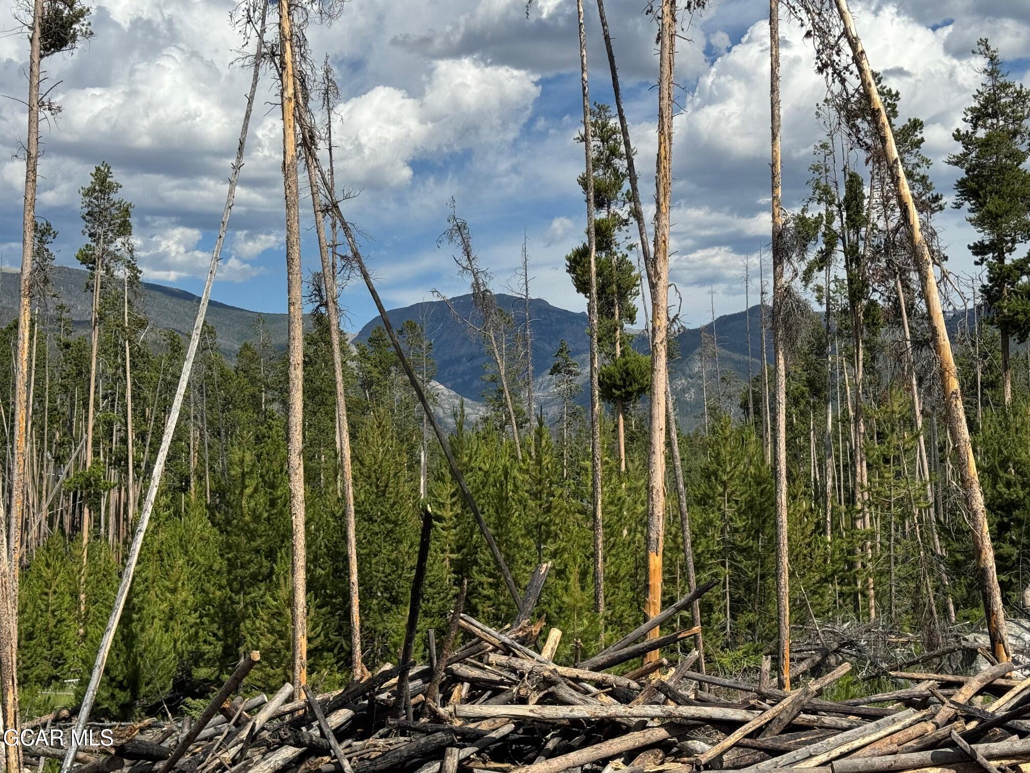 Tbd GCR 471 #1 Grand Lake CO 80447