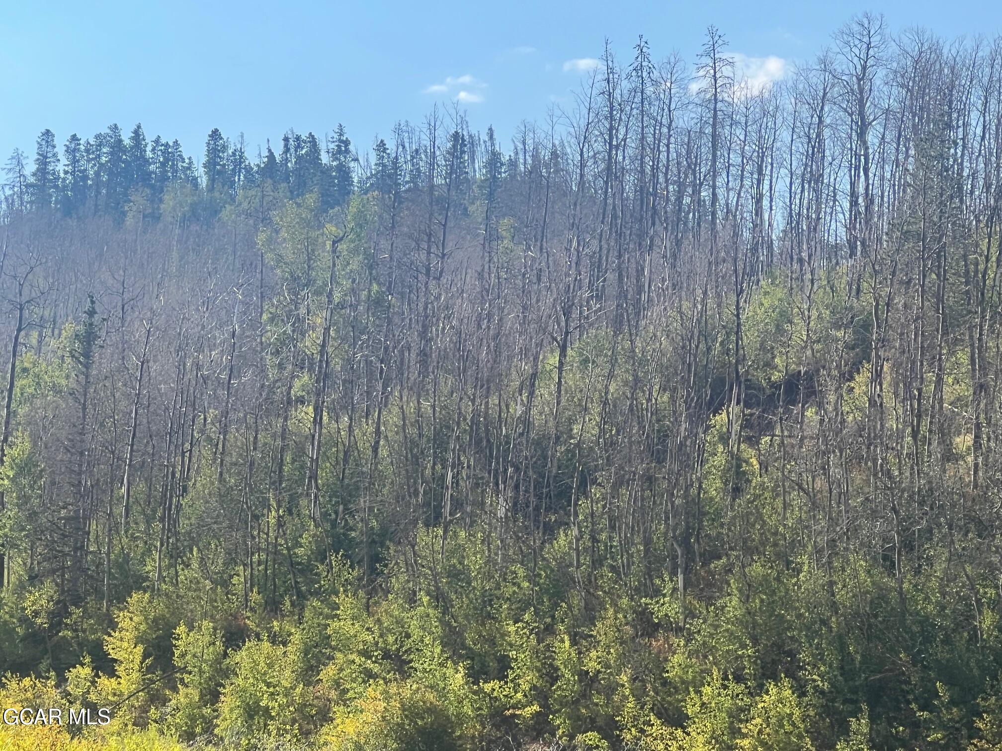 420 GCR 412 Granby CO 80446