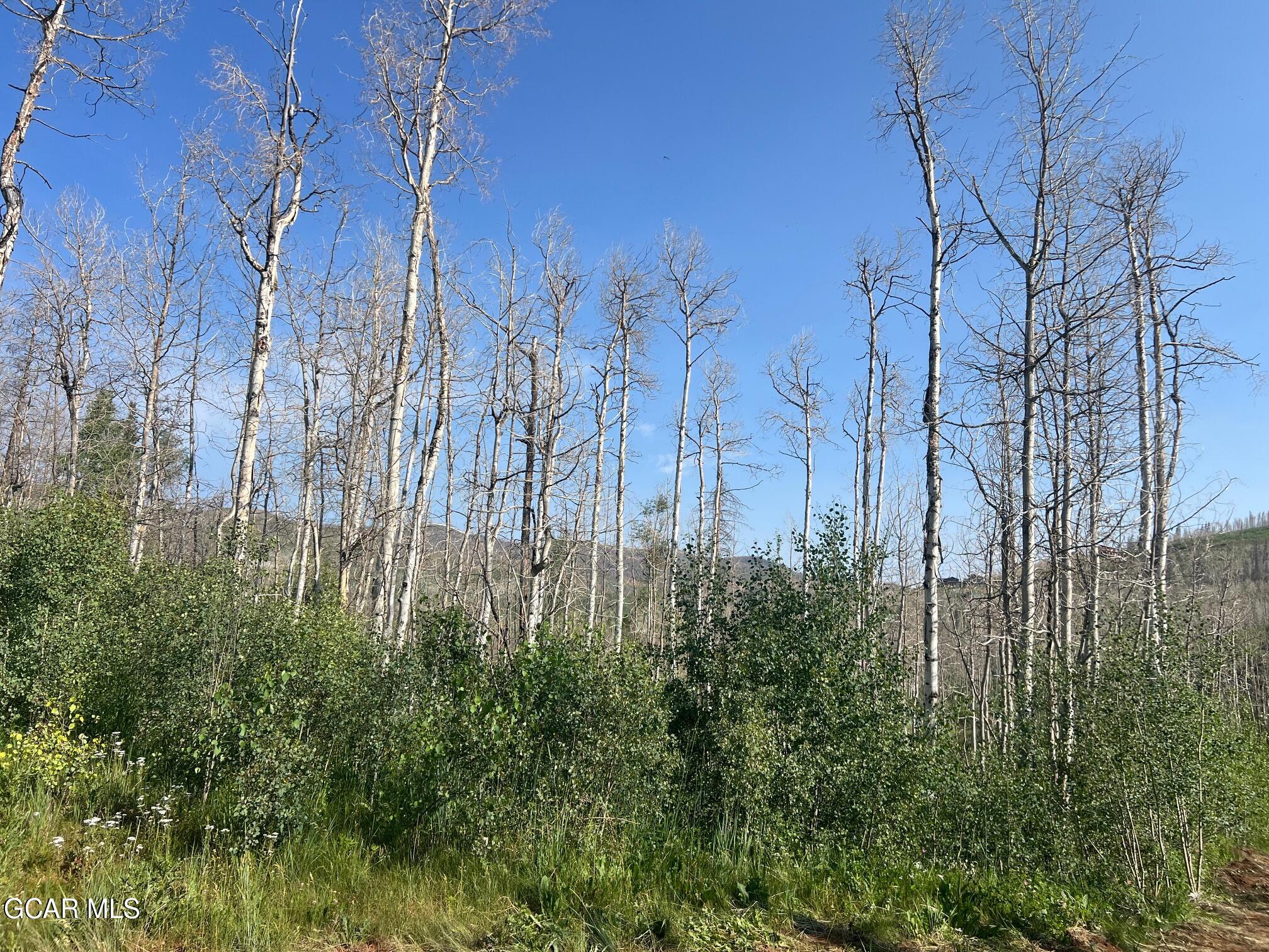 420 GCR 412 Granby CO 80446