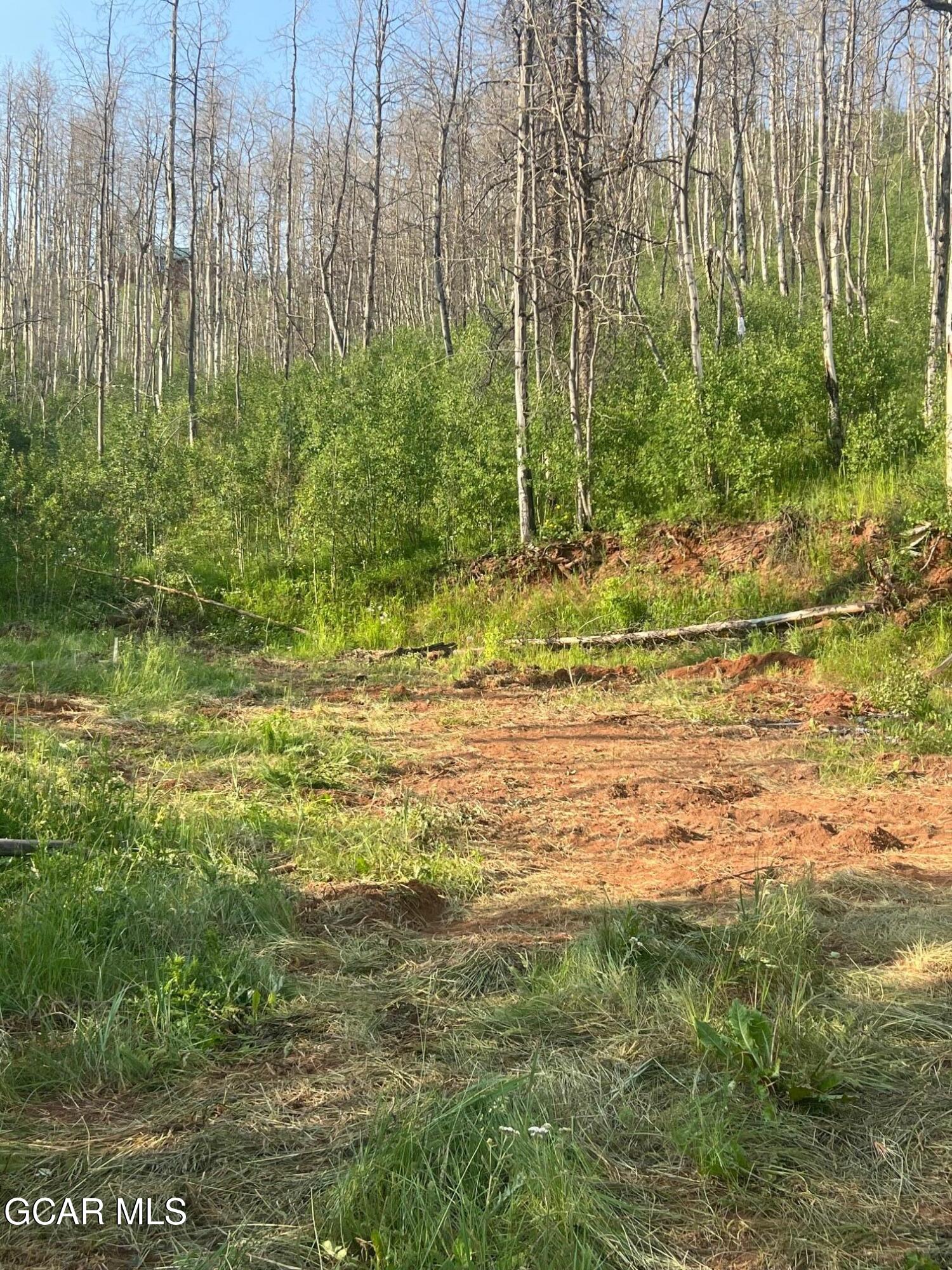 420 GCR 412 Granby CO 80446