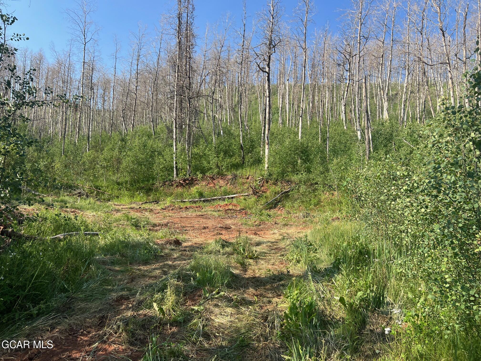 420 GCR 412 Granby CO 80446