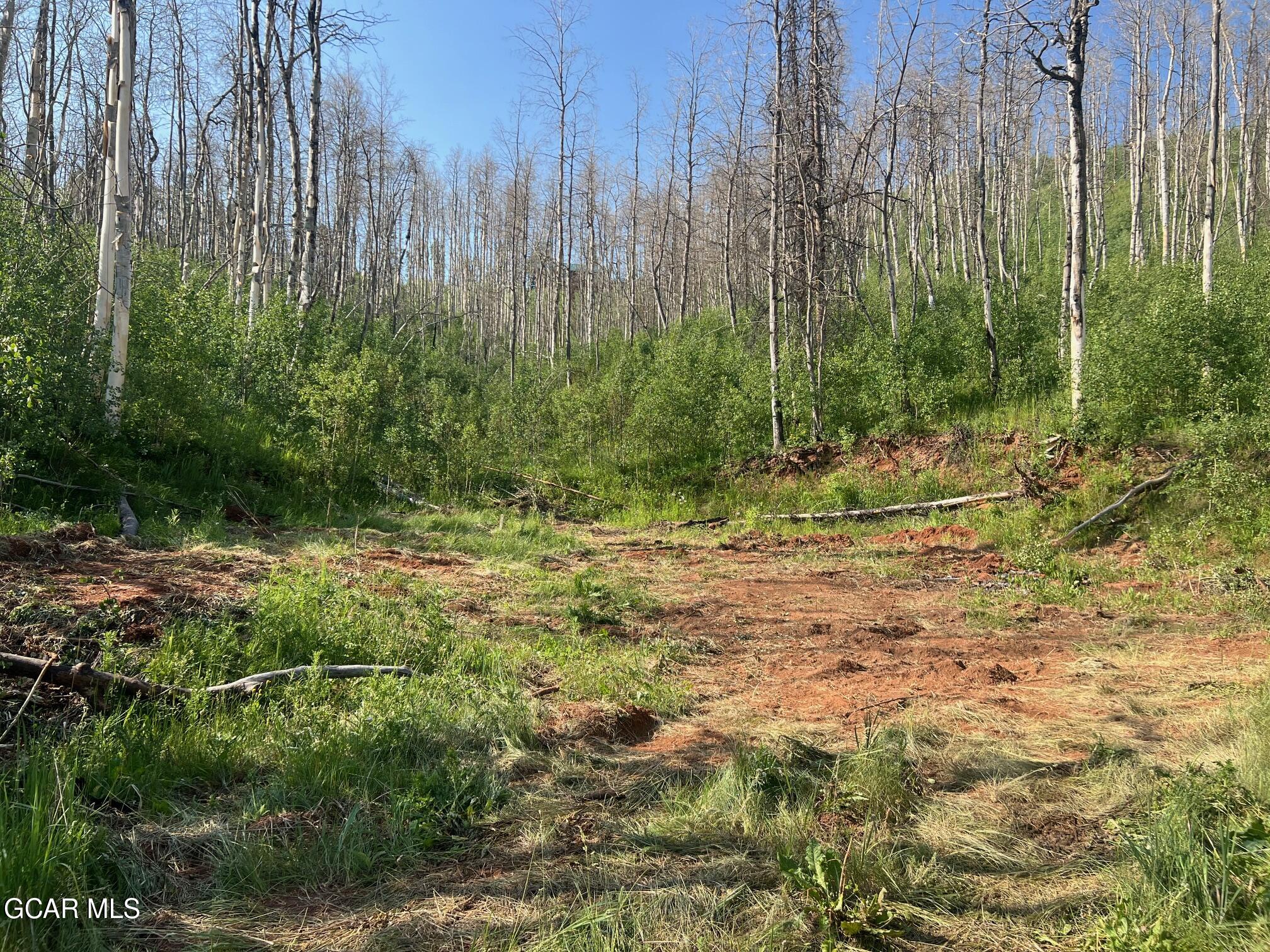 420 GCR 412 Granby CO 80446