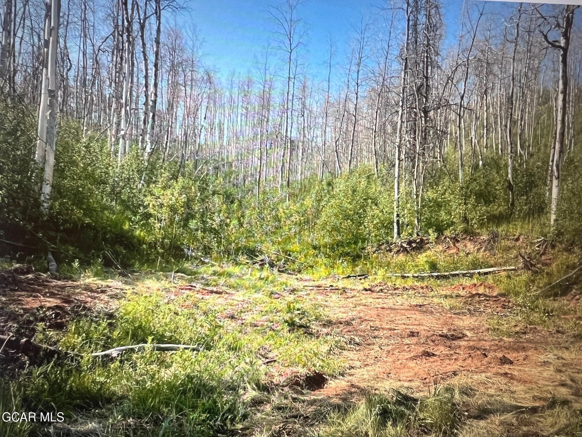 420 GCR 412 Granby CO 80446