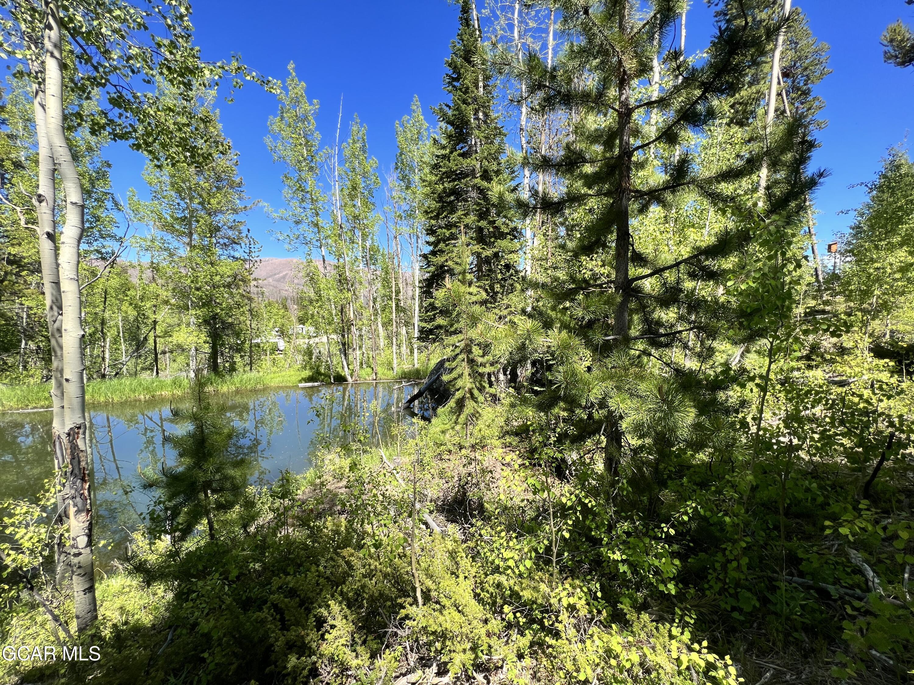 134 Mad Moose Lane Grand Lake CO 80447