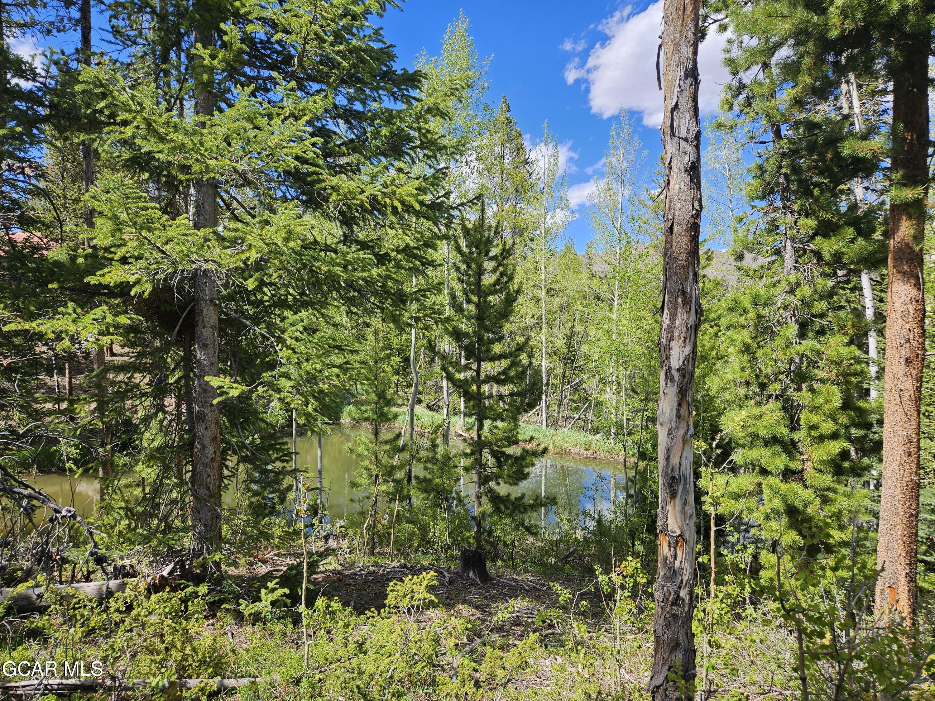 134 Mad Moose Lane Grand Lake CO 80447