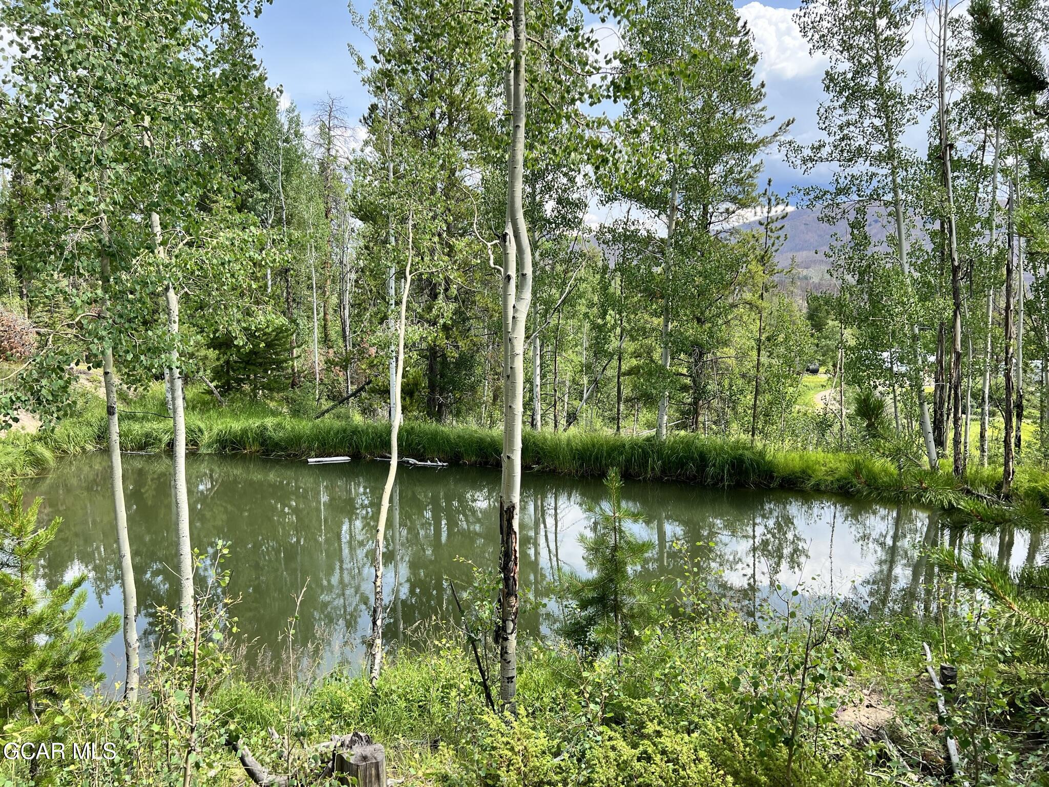 134 Mad Moose Lane Grand Lake CO 80447
