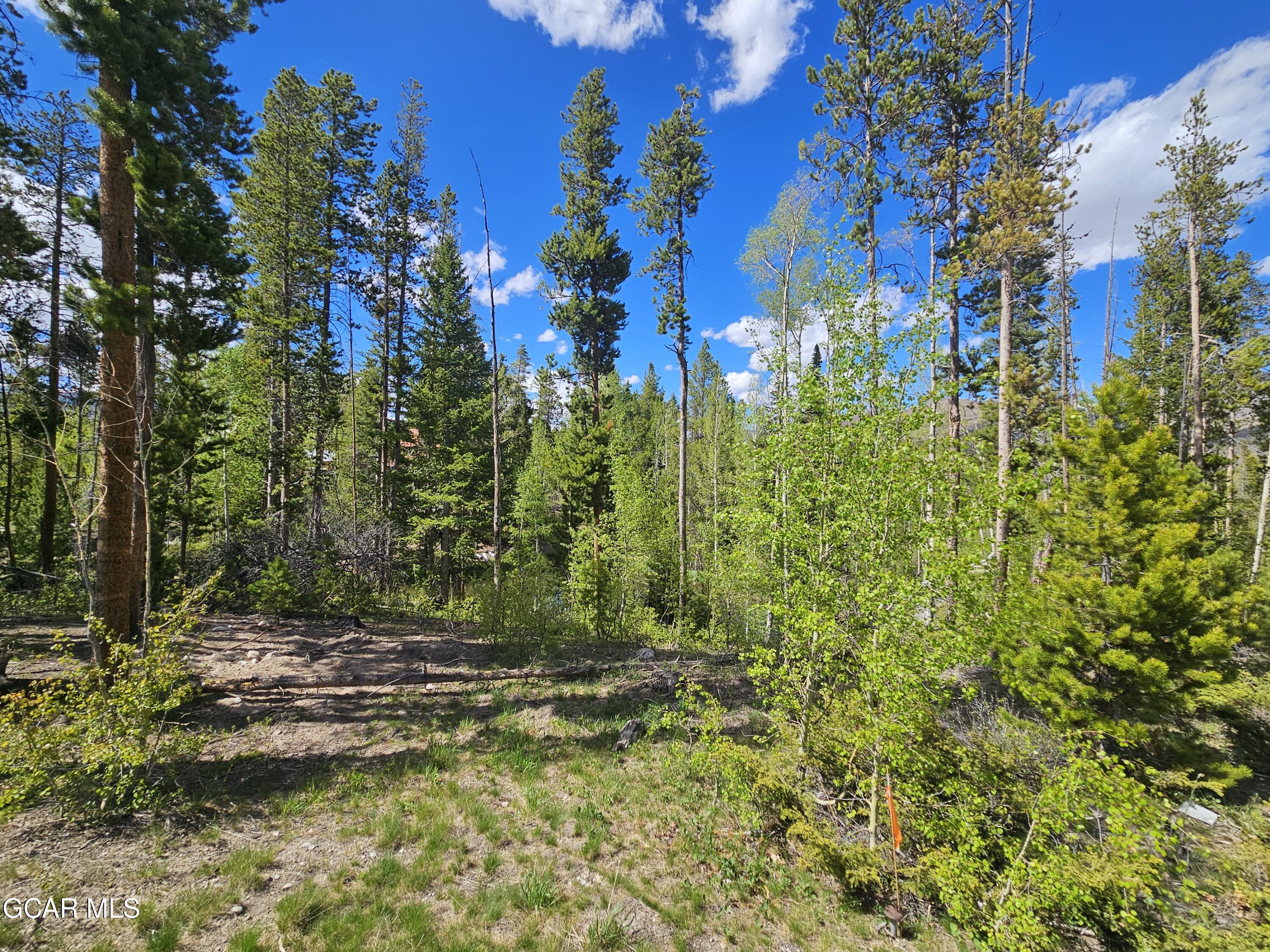 134 Mad Moose Lane Grand Lake CO 80447